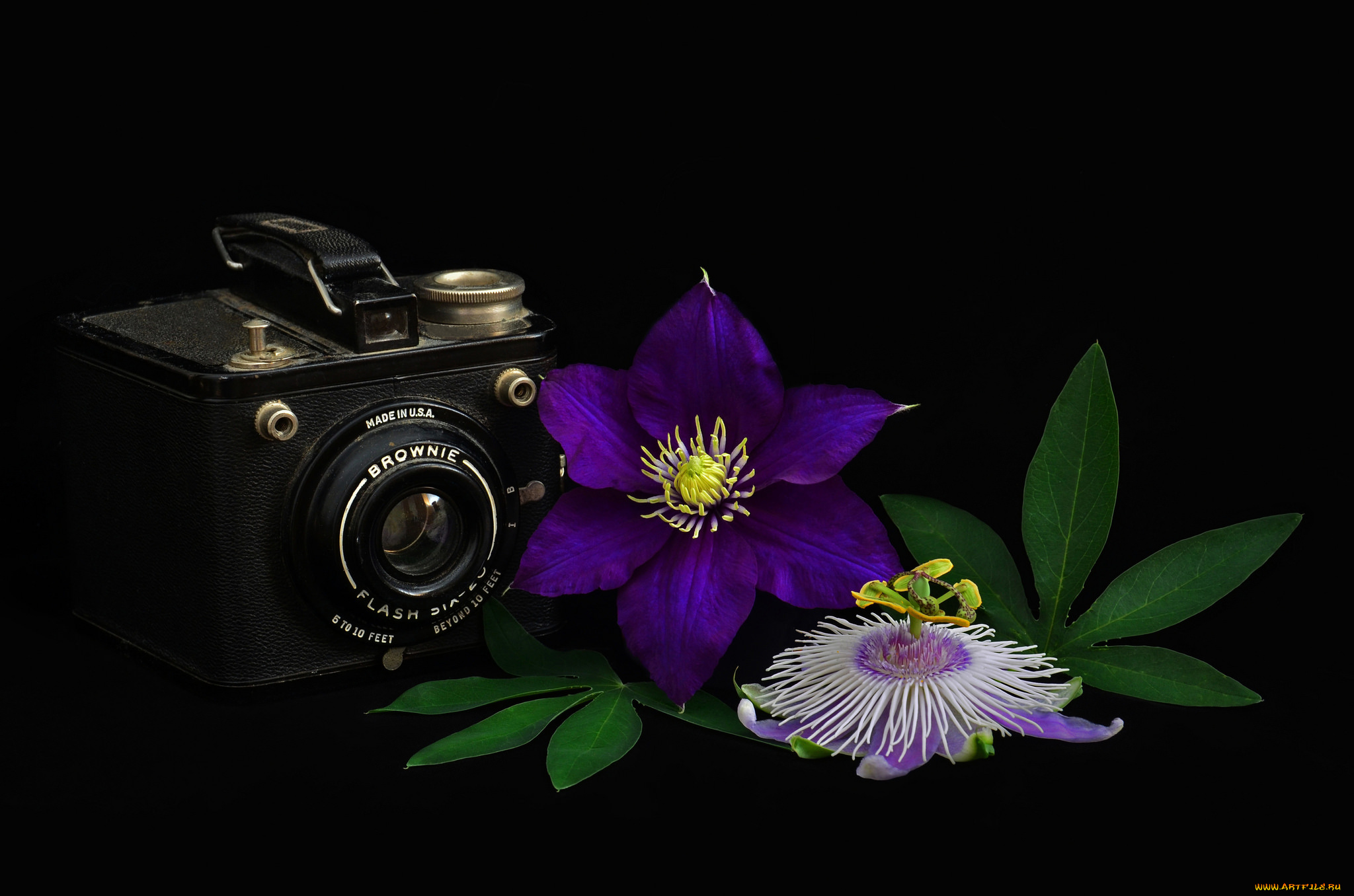 бренды, бренды, фотоаппаратов, , разное, фотокамера