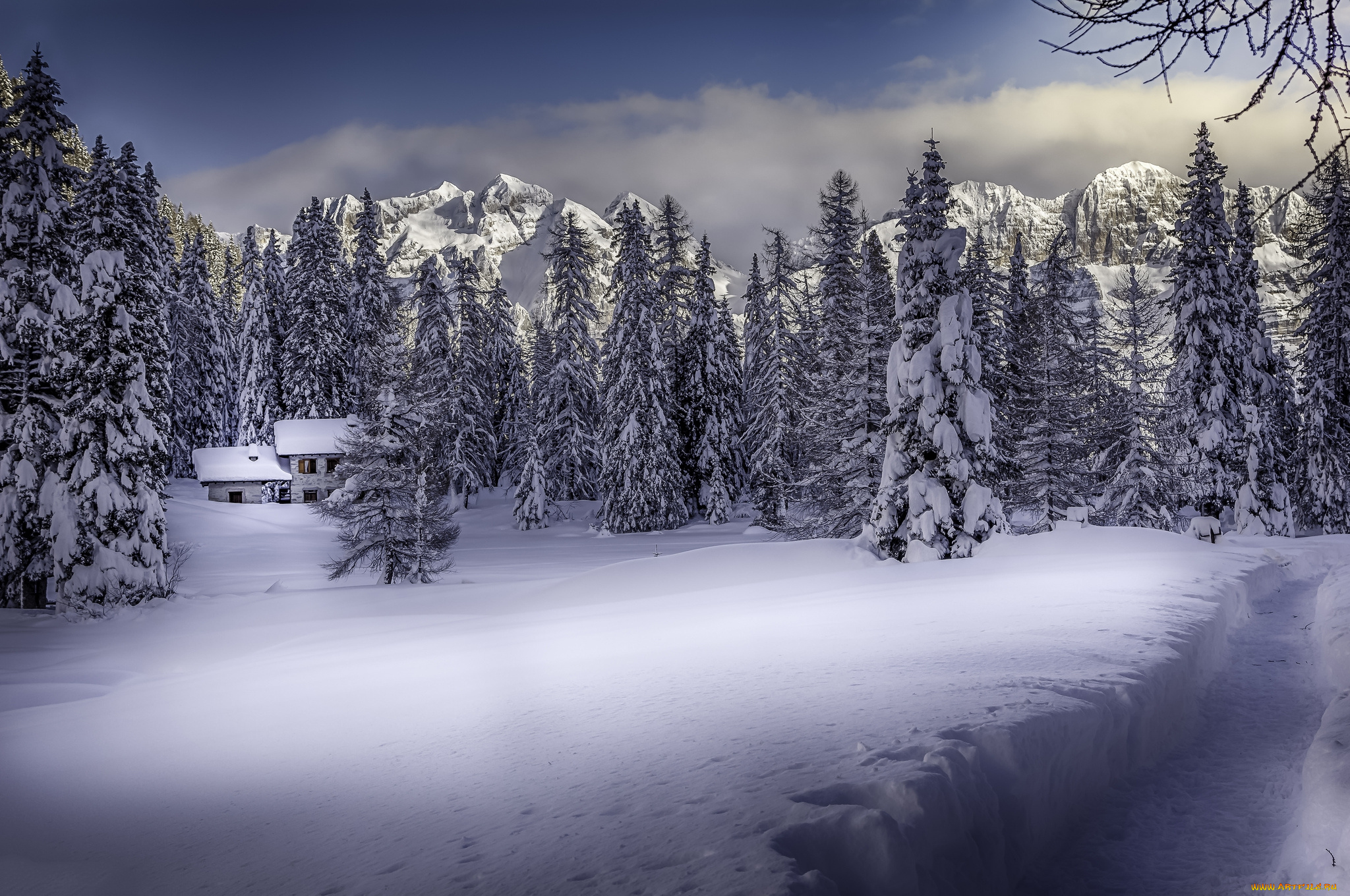 природа, зима, снег