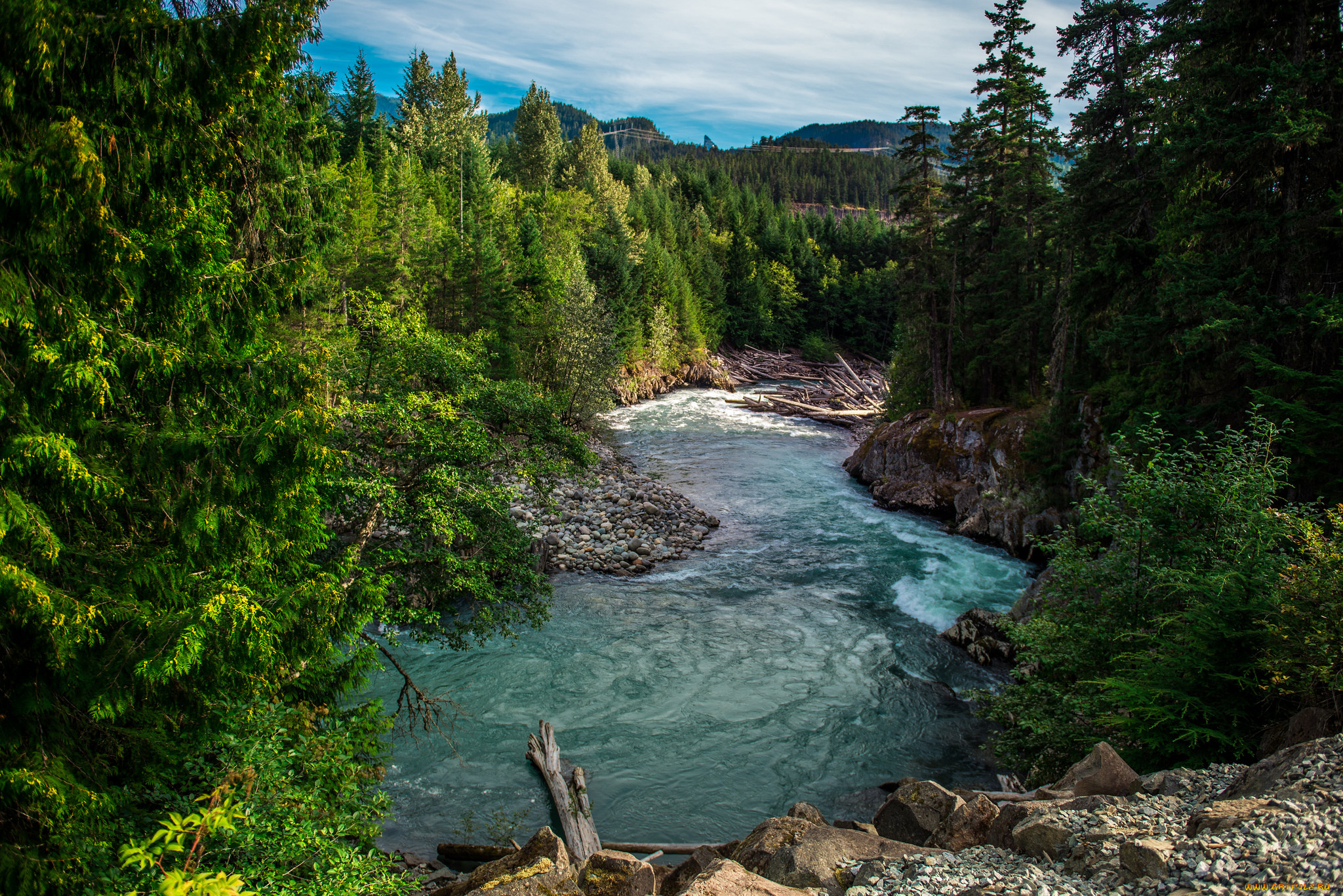 природа, реки, озера, лес, река