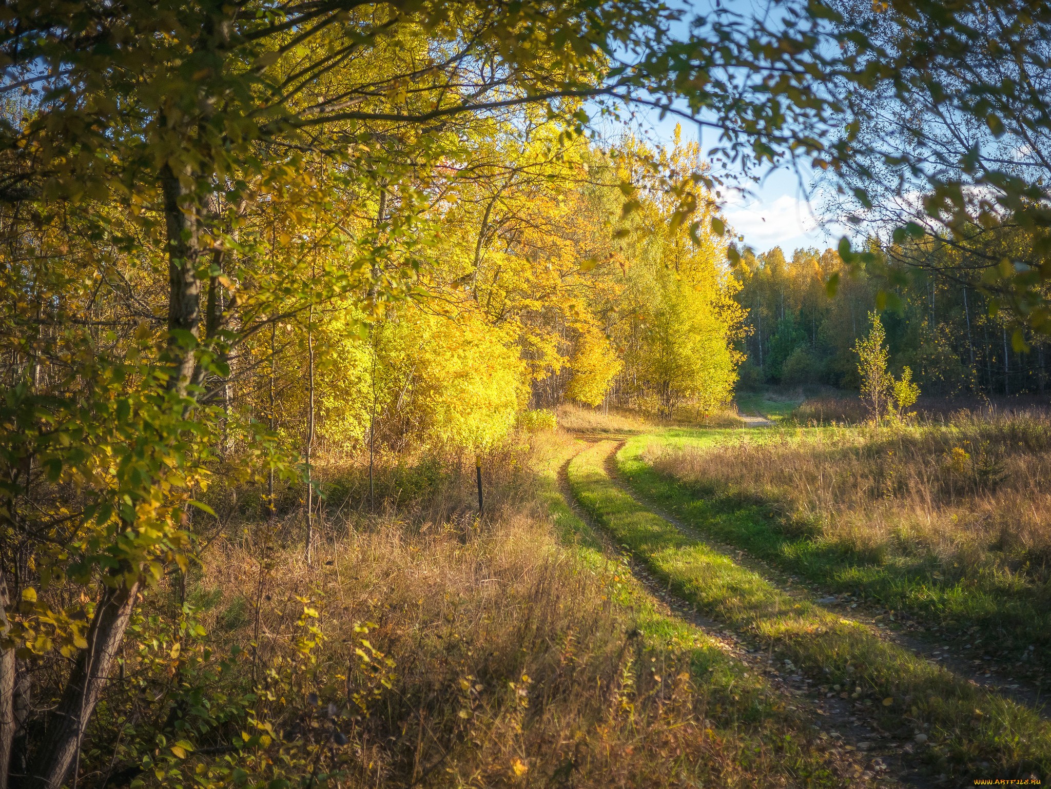 природа, дороги, тракт