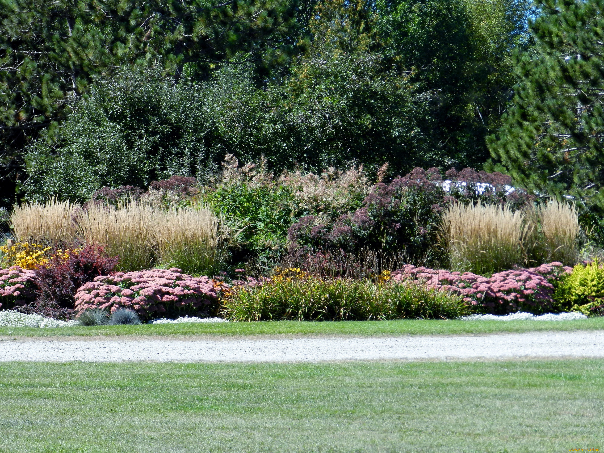 природа, парк, лужайка, клумба