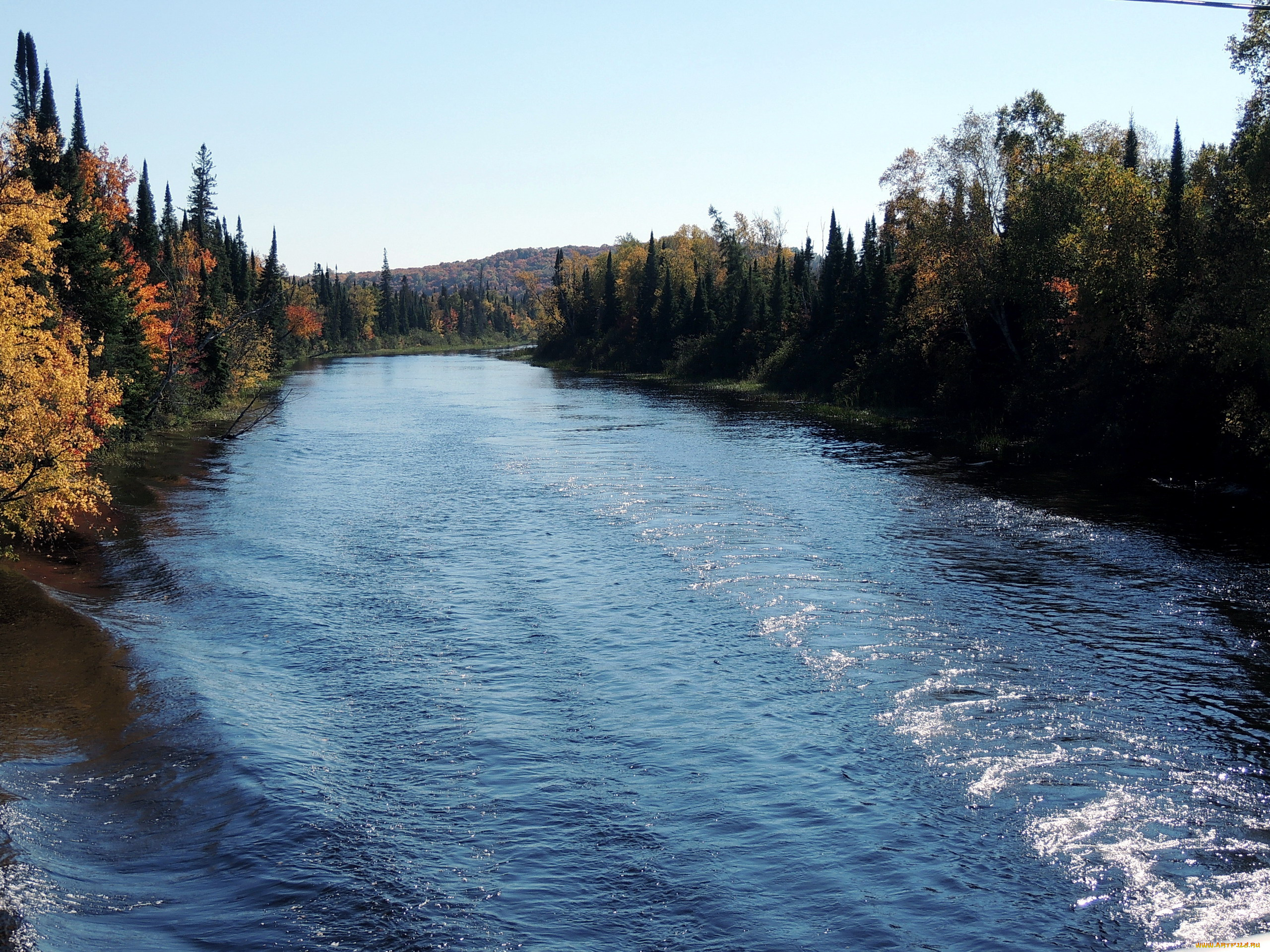 природа, реки, озера, лес, река, вода