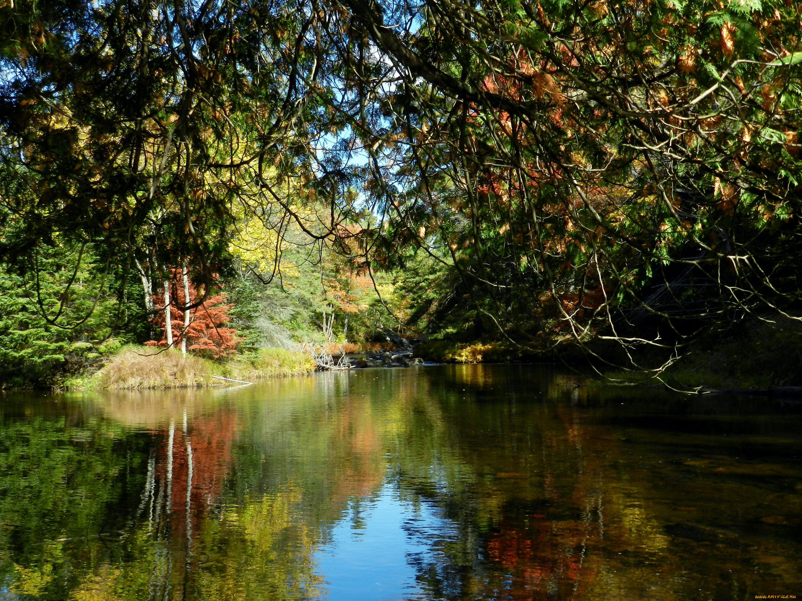 природа, реки, озера, отражение