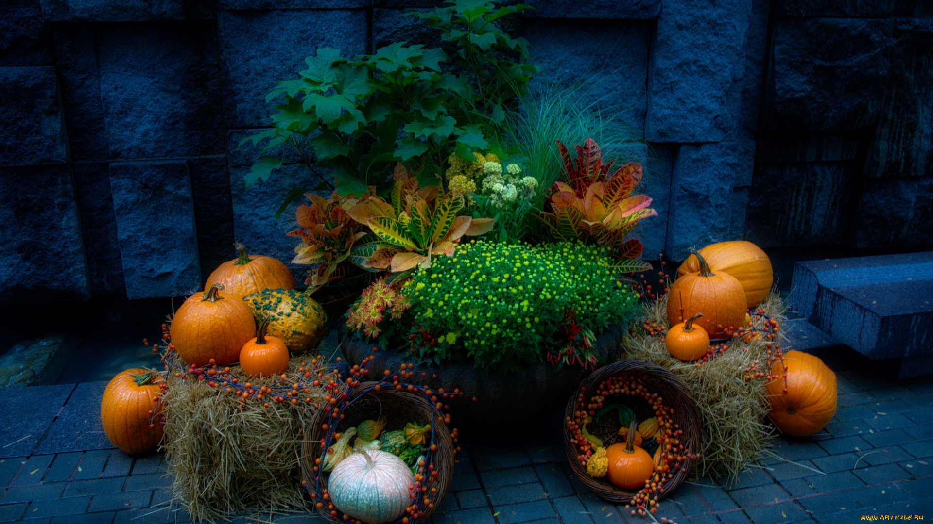 еда, натюрморт, снедь