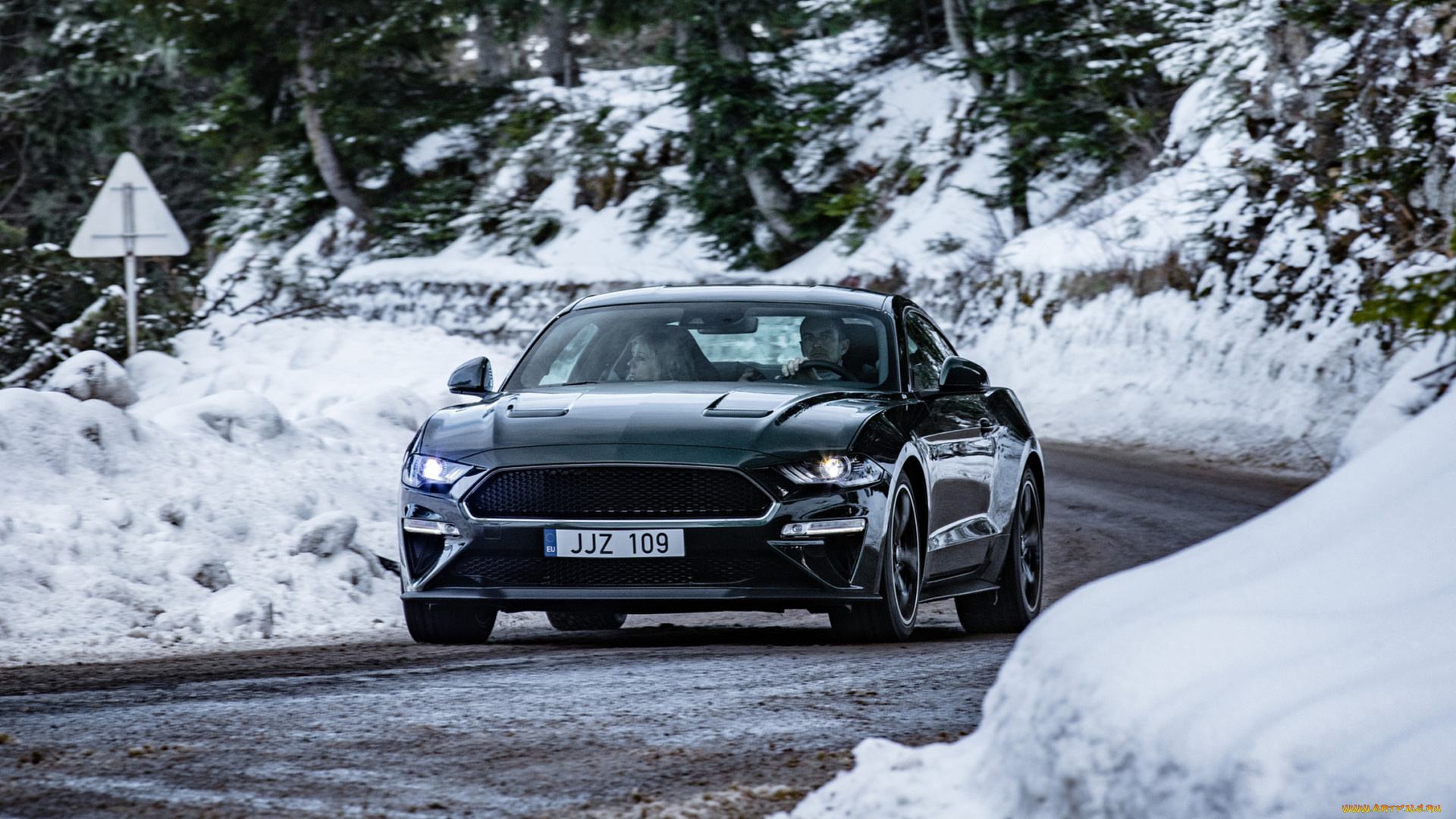 ford, mustang, bullitt, 2019, автомобили, ford, 2019, bullitt, mustang