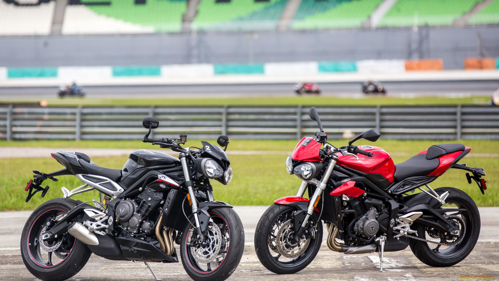 мотоциклы, triumph