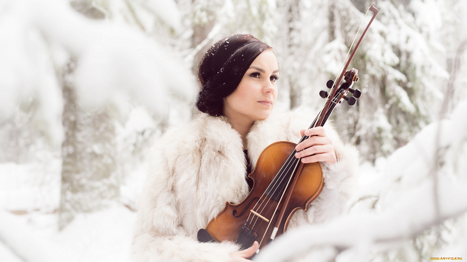 музыка, -другое, девушка, скрипка
