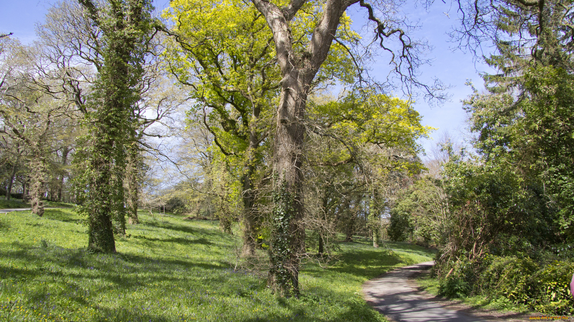 природа, дороги, простор