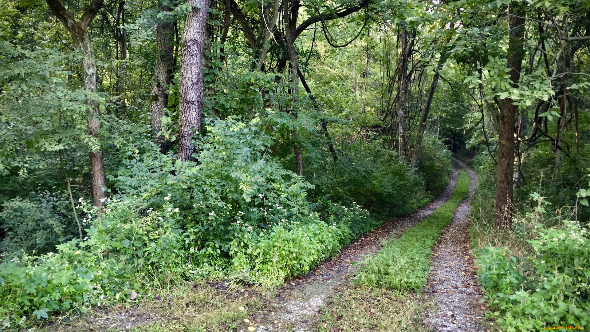 природа, дороги, простор