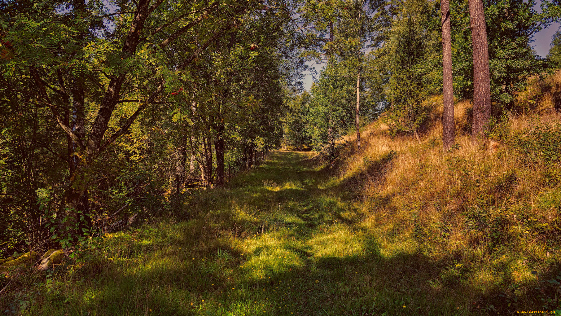 природа, дороги, простор