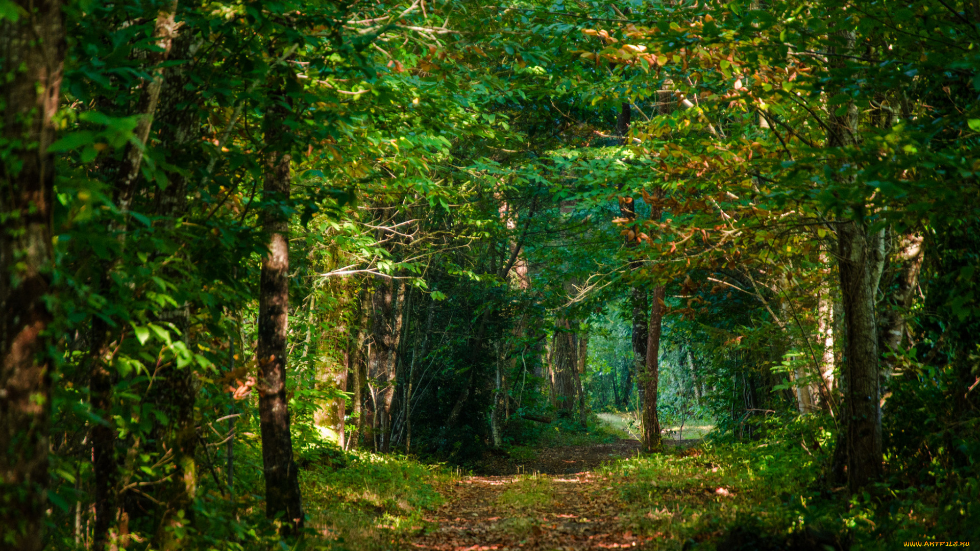 природа, дороги, простор