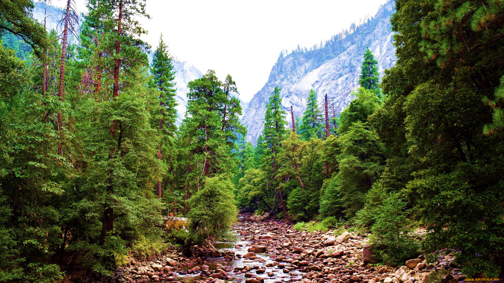 природа, горы, простор