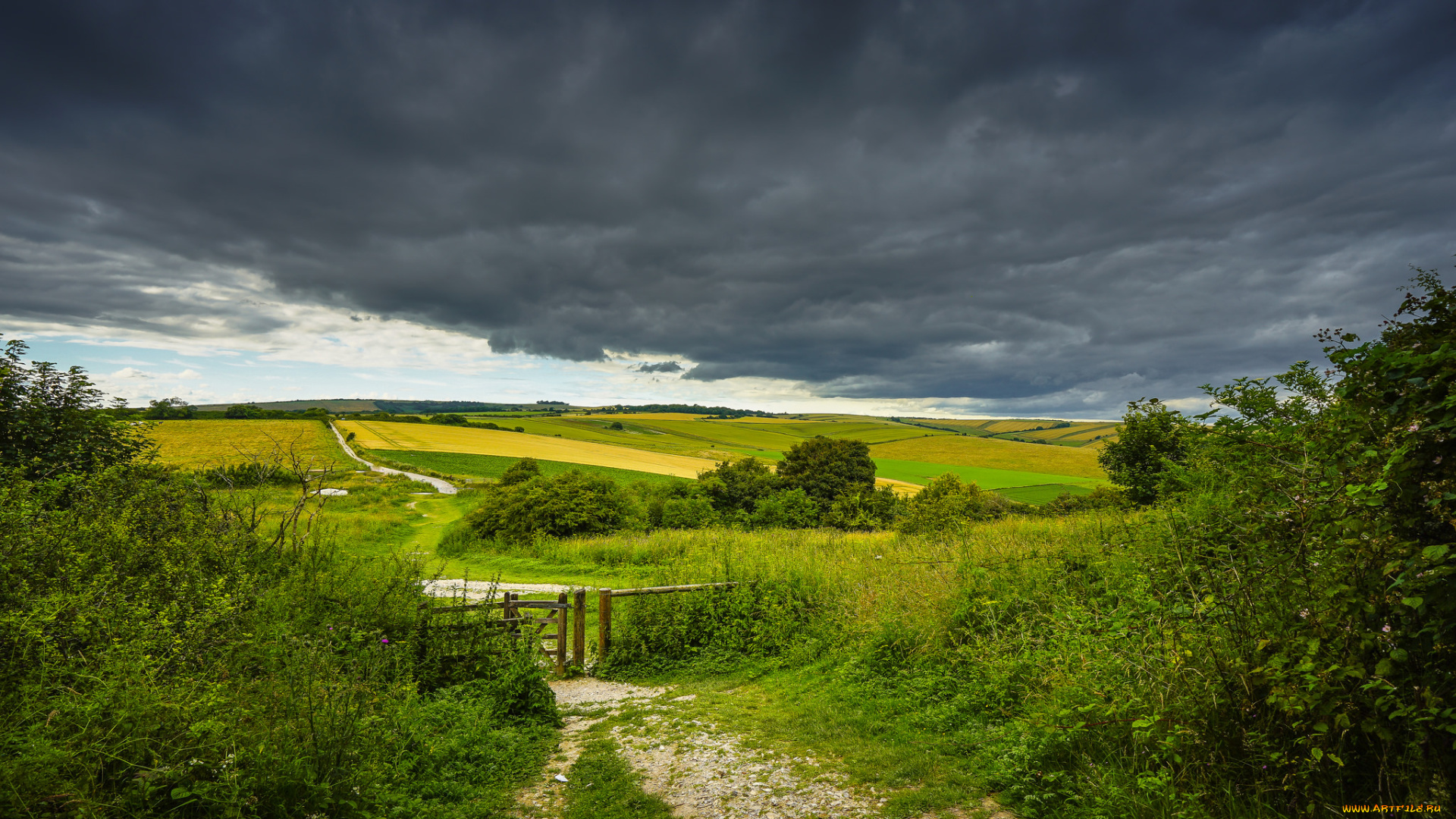 природа, пейзажи, простор