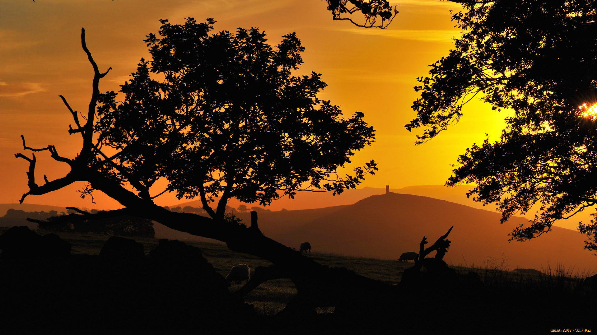 природа, пейзажи, простор