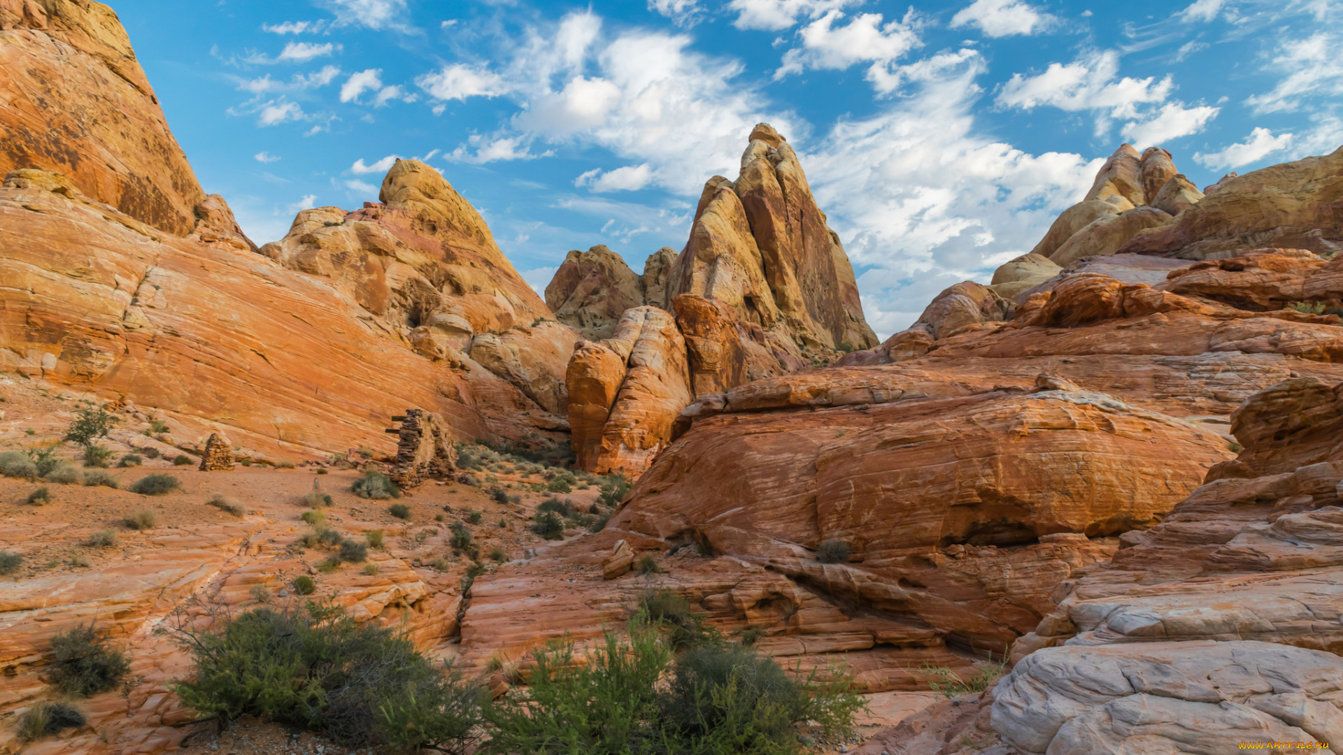 природа, пустыни, простор