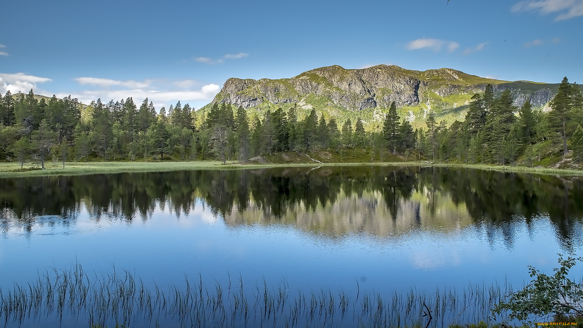 природа, реки, озера, простор