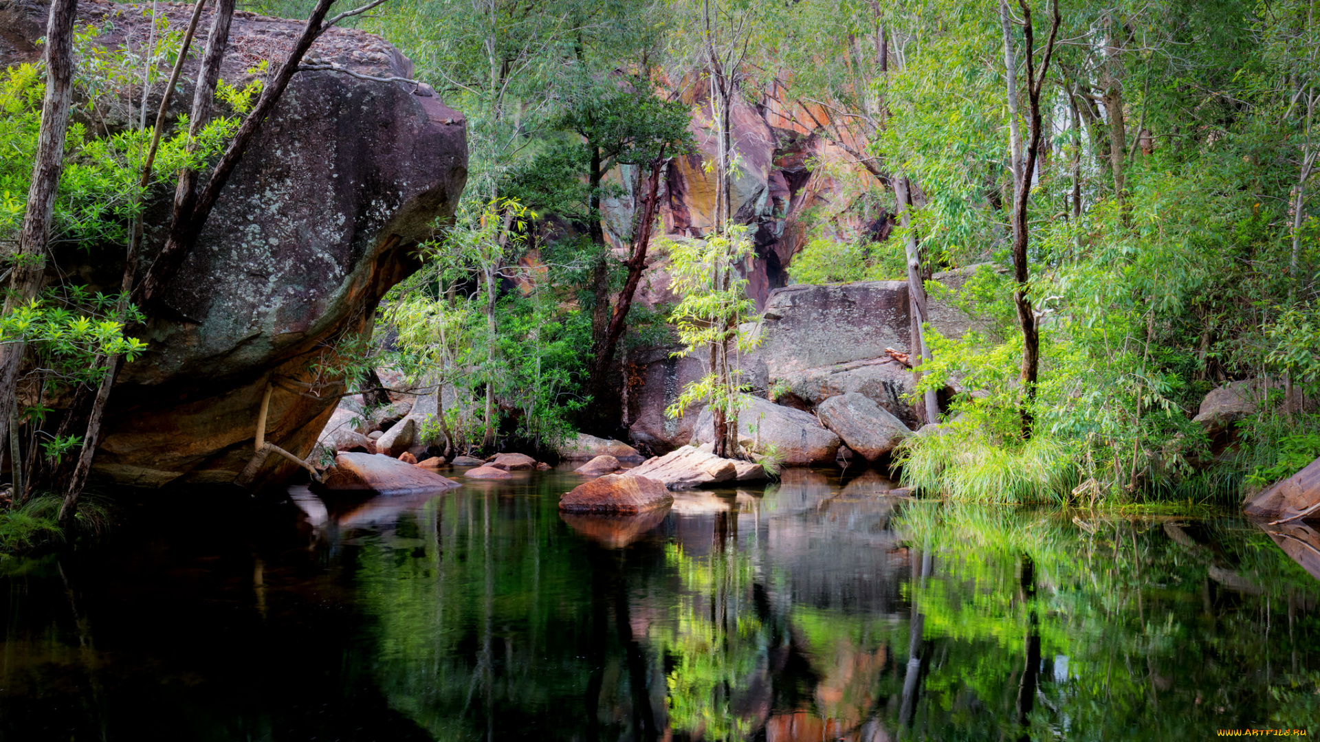 природа, реки, озера, простор