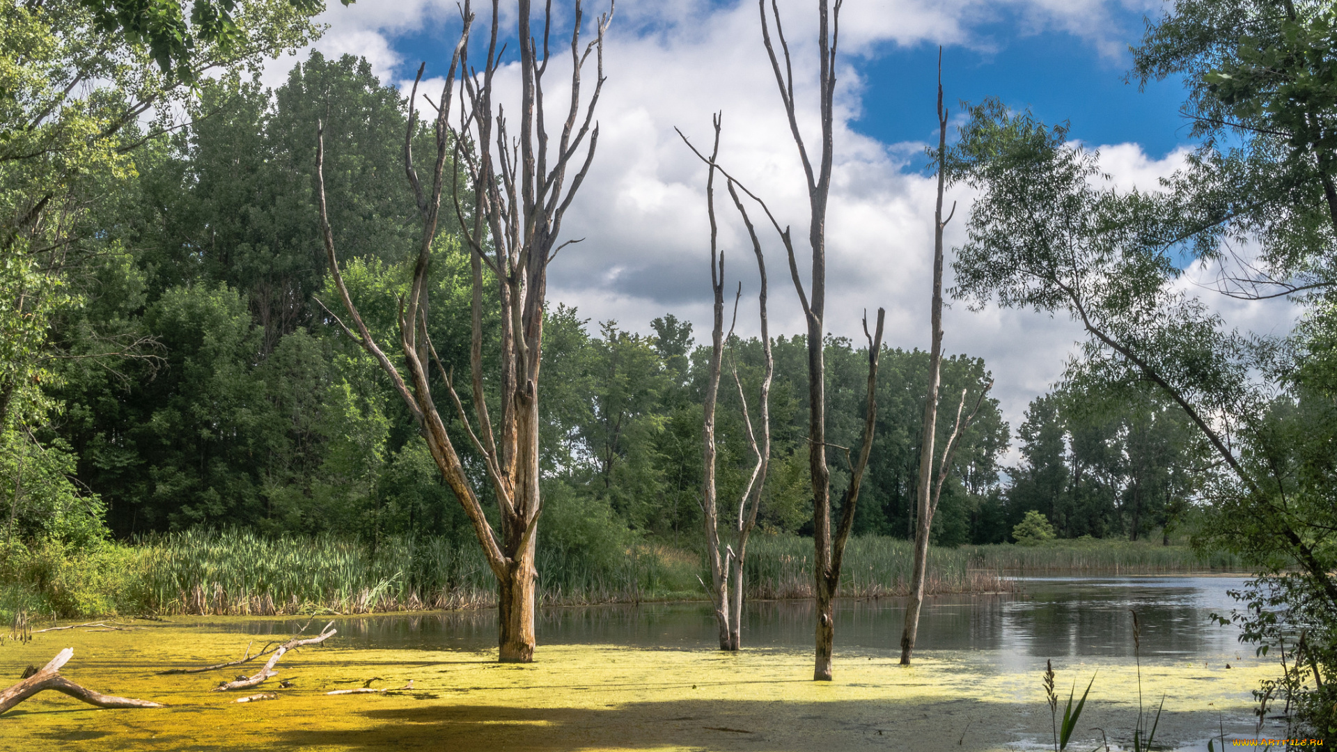 природа, реки, озера, простор