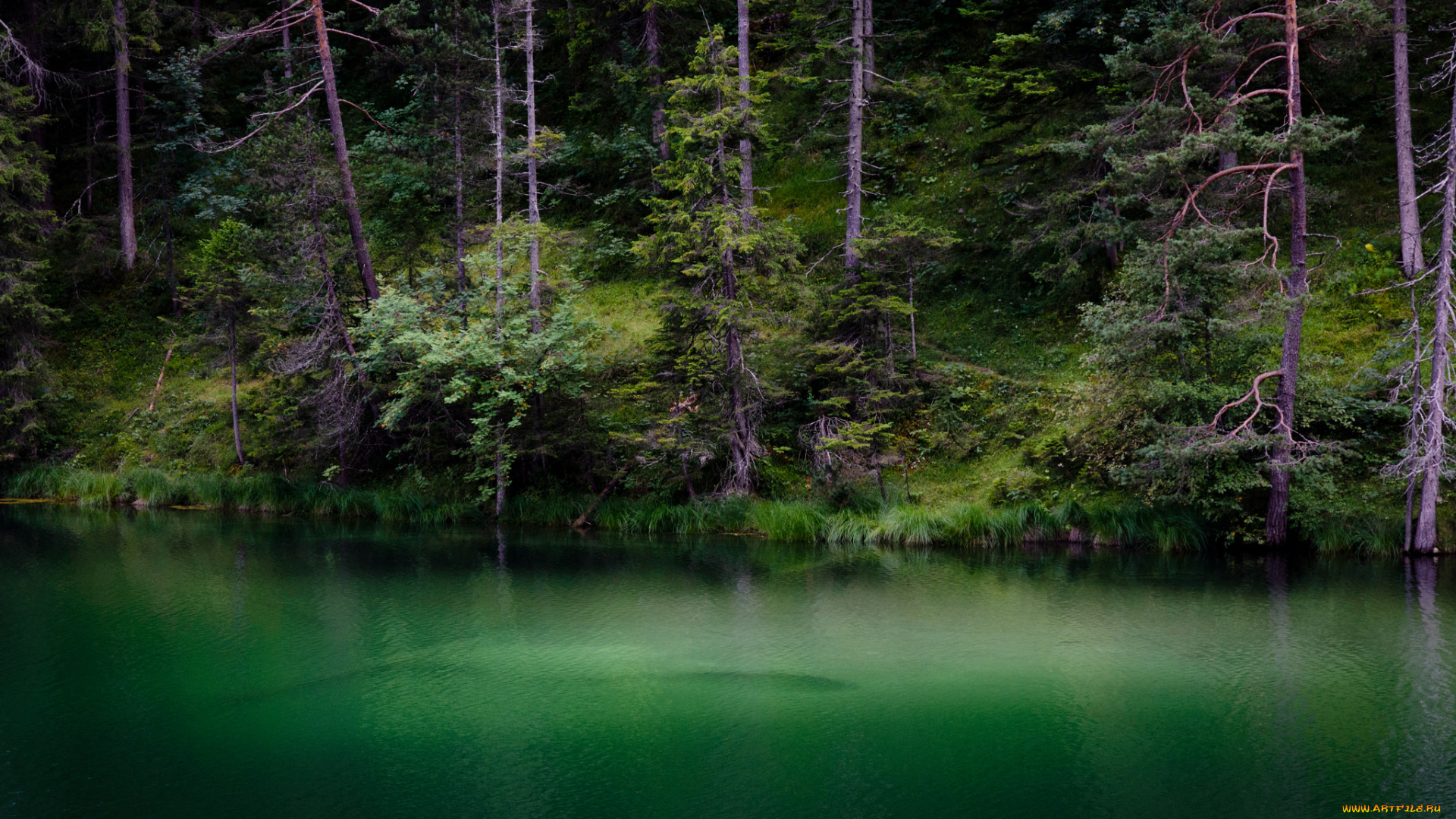 природа, реки, озера, простор