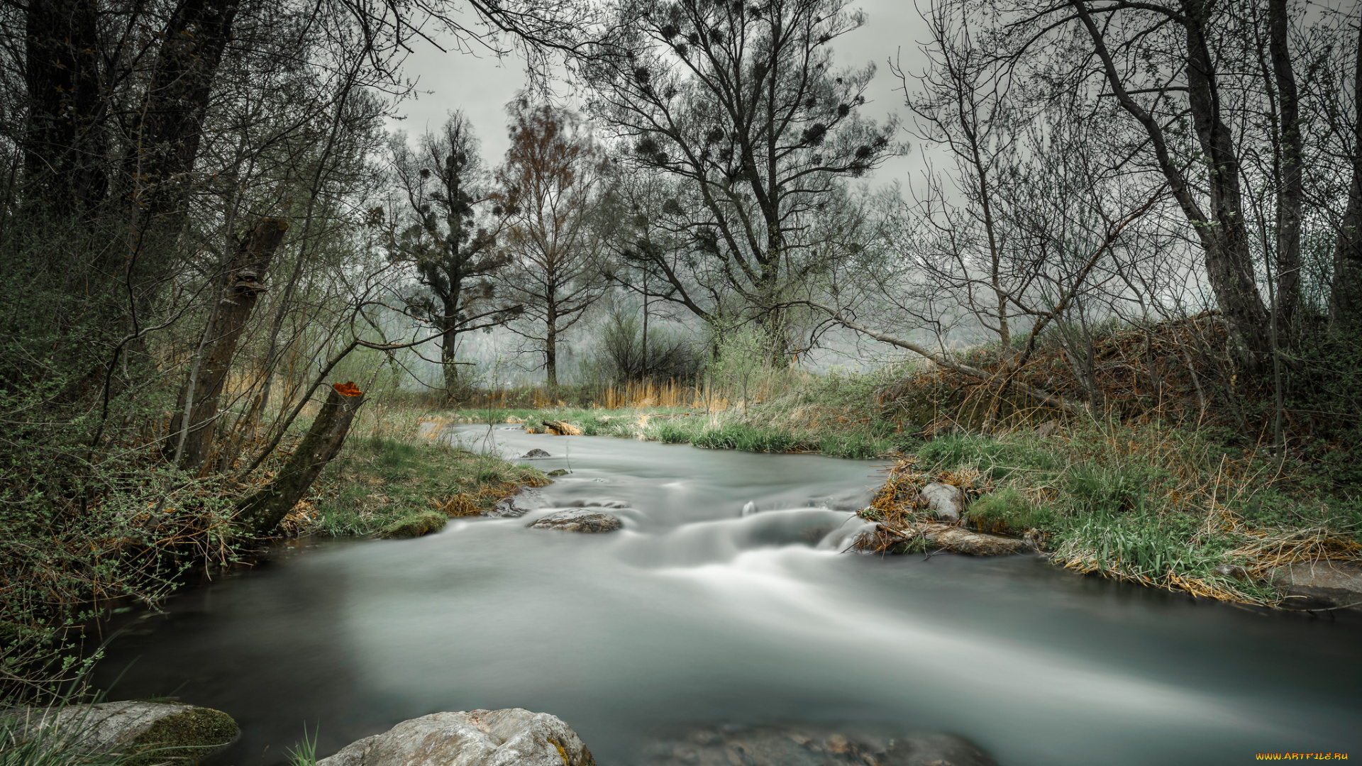 природа, реки, озера, простор