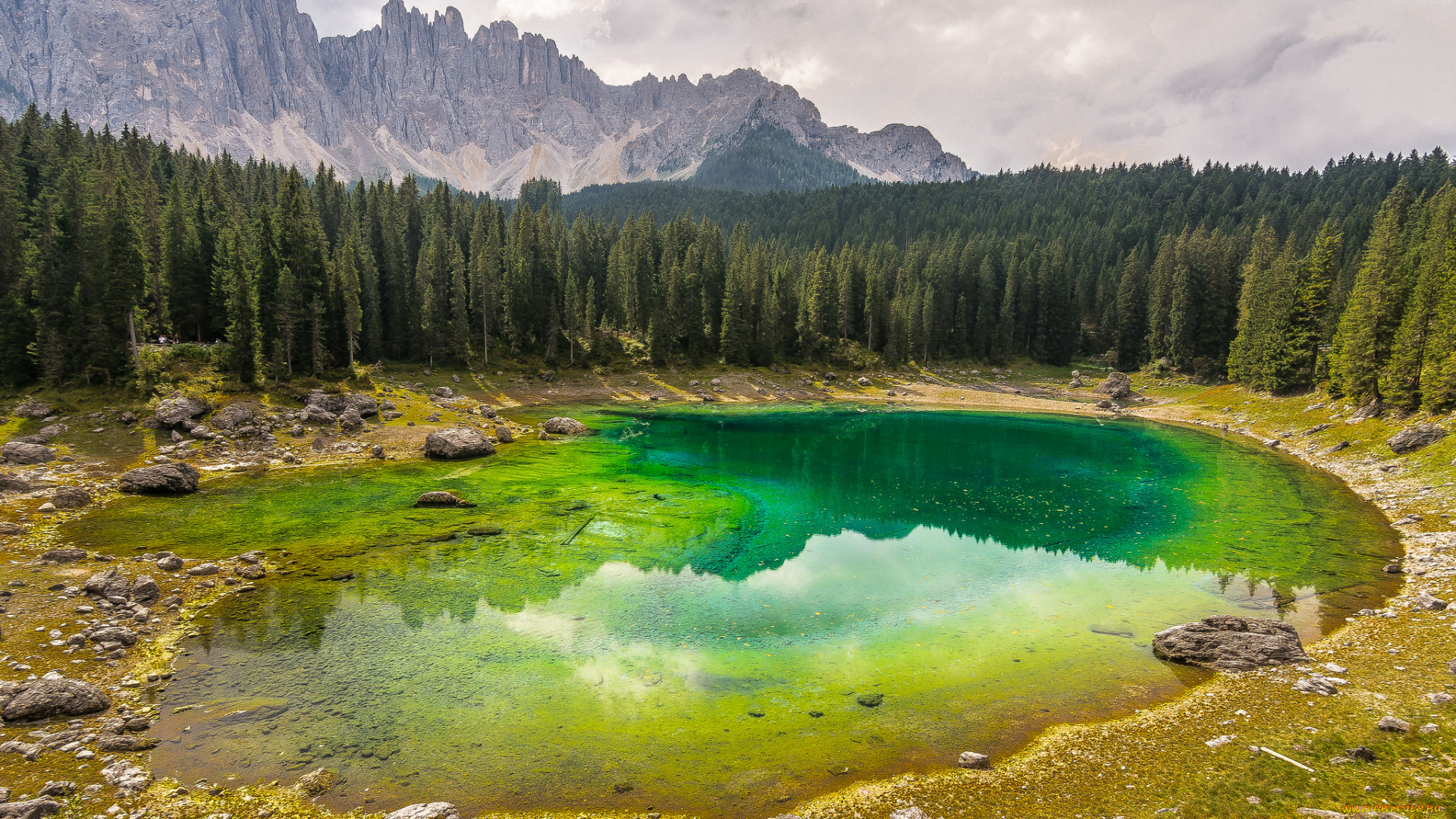 природа, реки, озера, простор