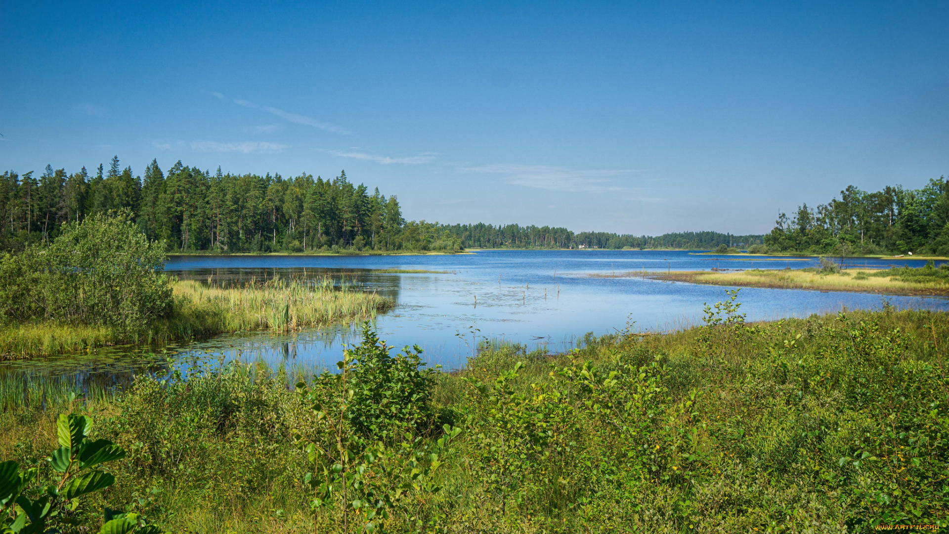 природа, реки, озера, простор