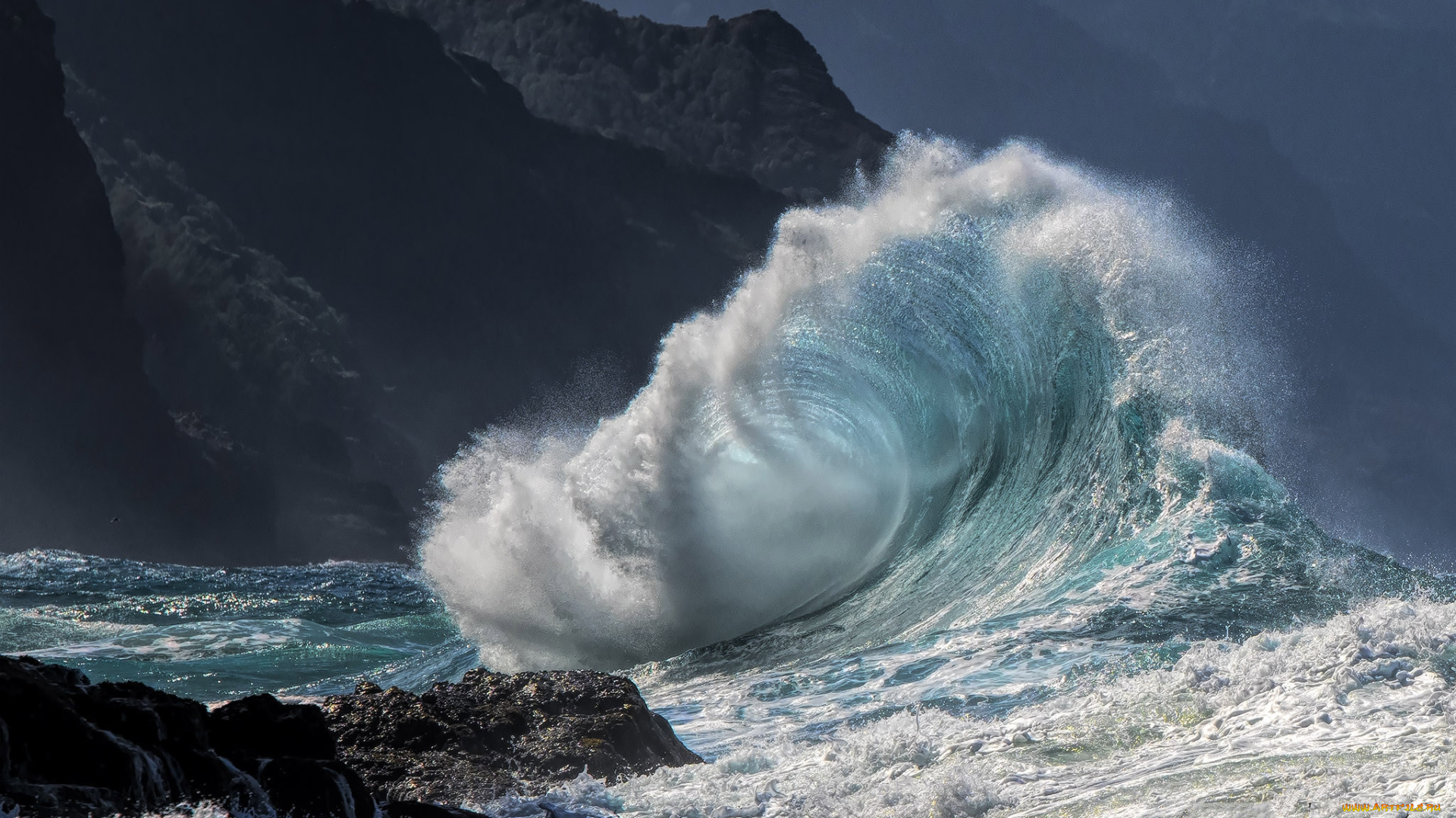 природа, стихия, простор