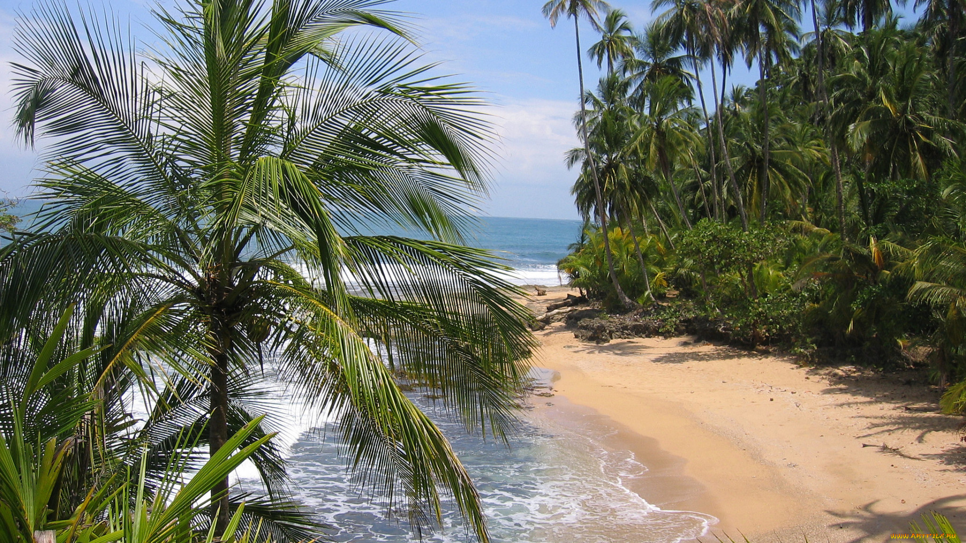 природа, тропики, простор