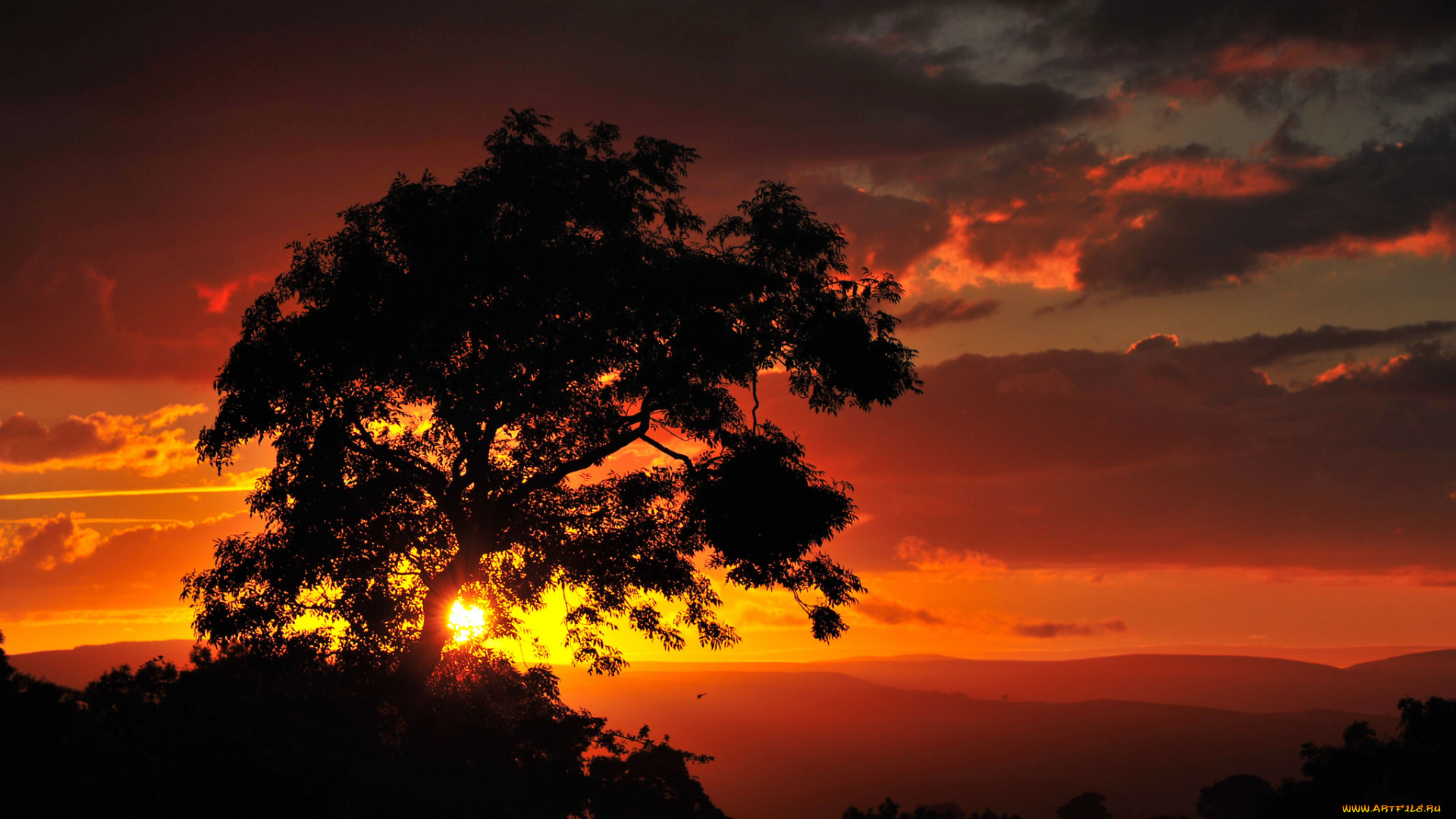 природа, восходы, закаты, простор