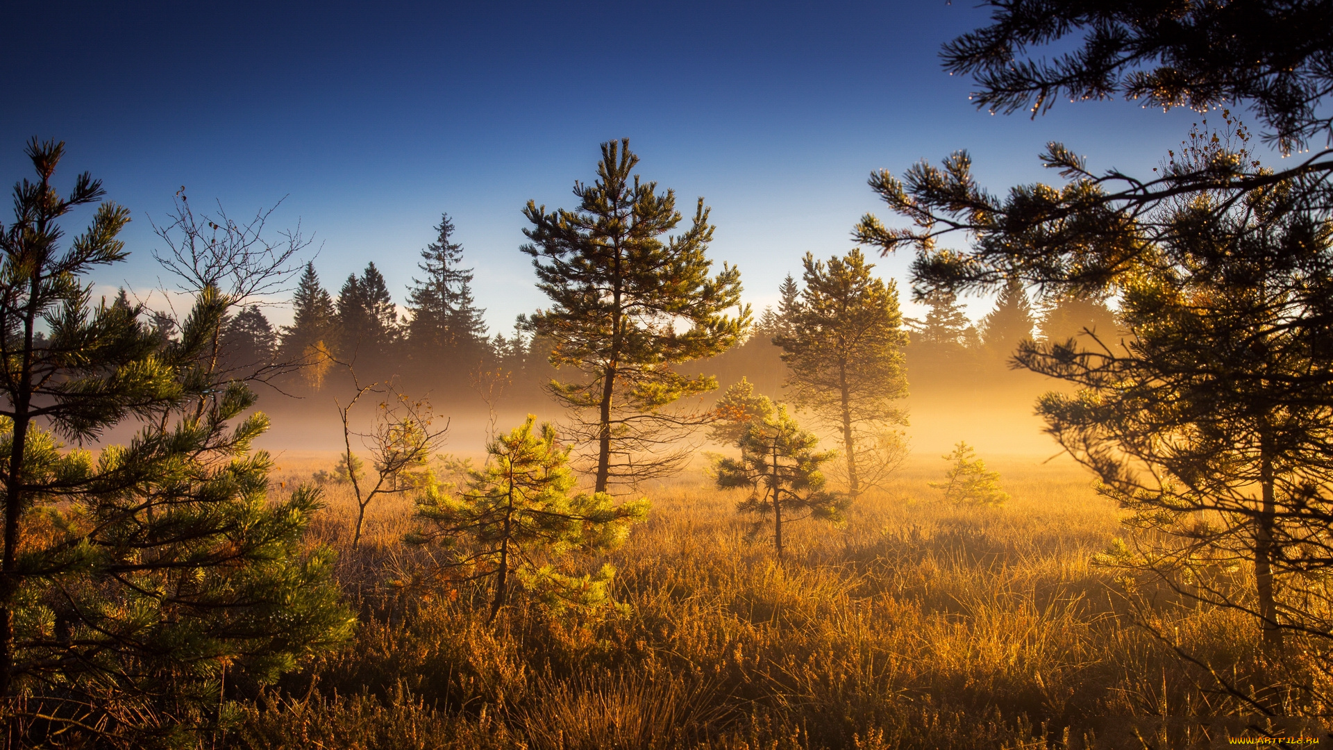 природа, восходы, закаты, простор