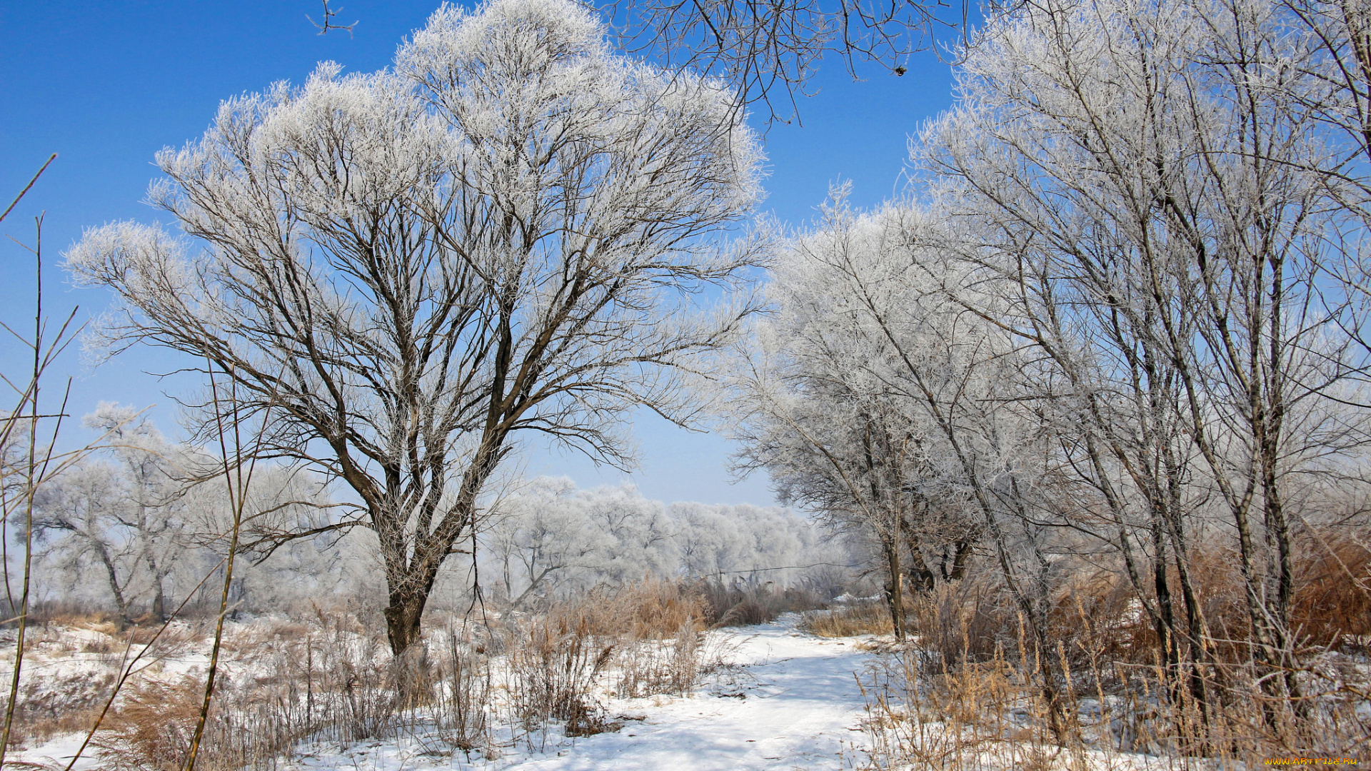 природа, зима, простор