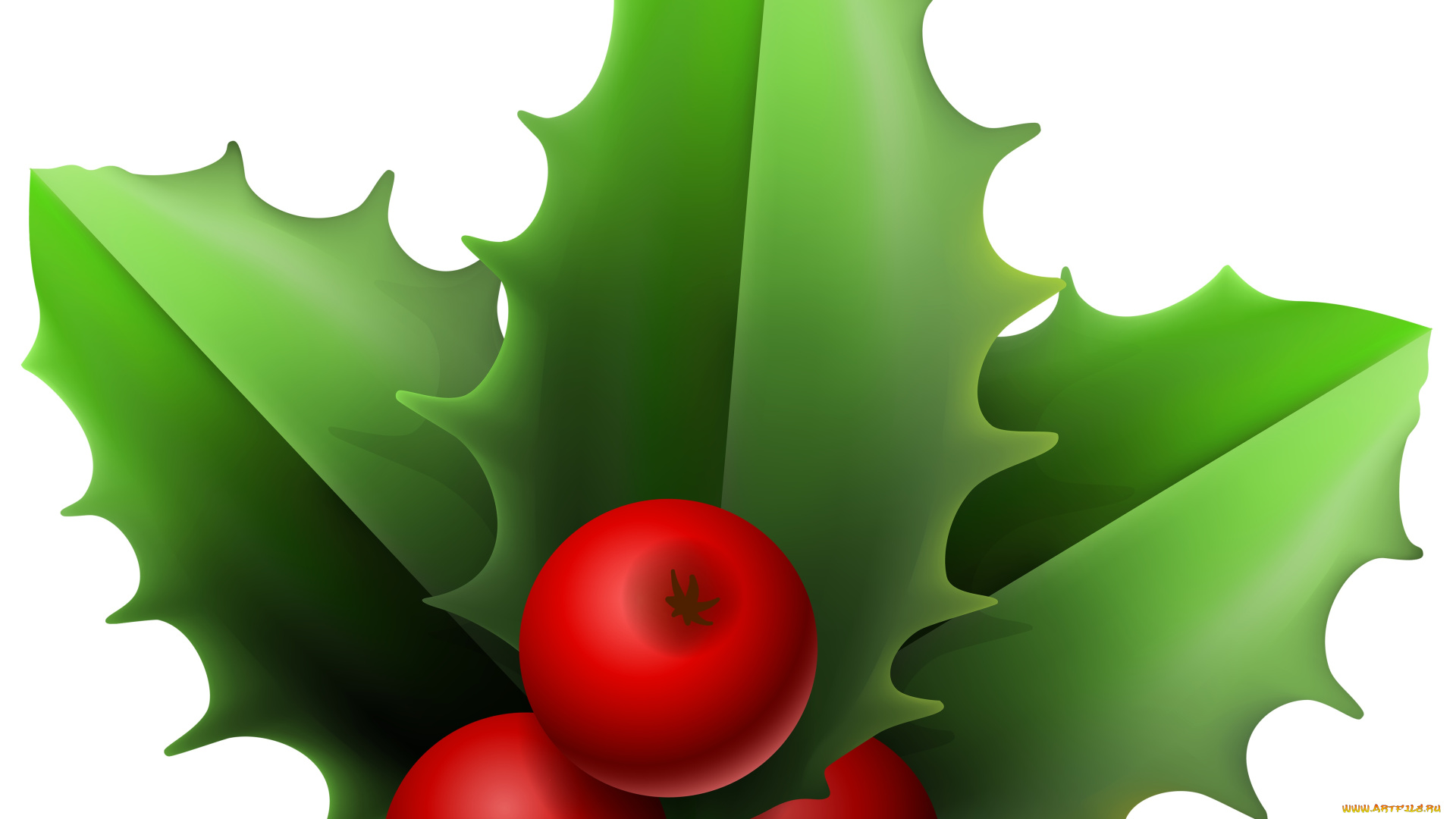 векторная, графика, природа, , nature, листья, фон, ягоды