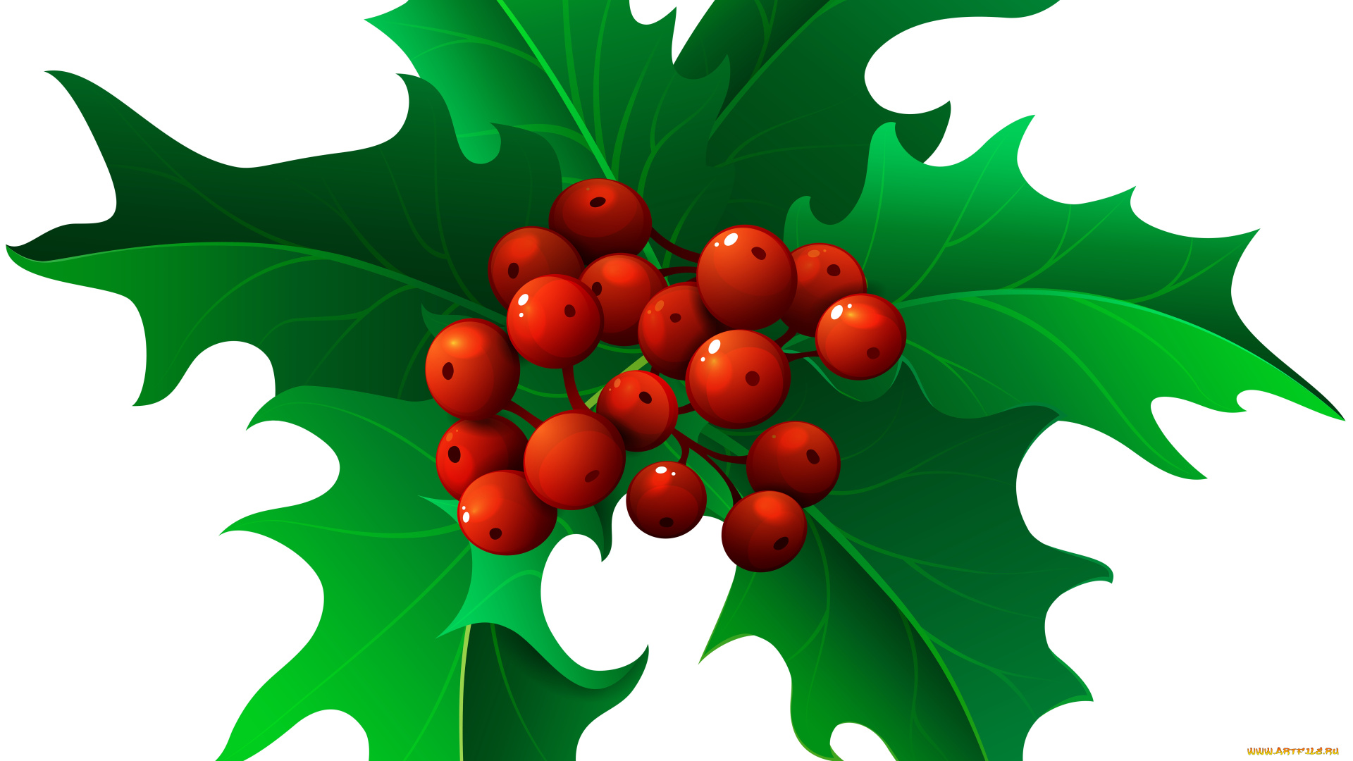 векторная, графика, птицы, , птицы, листья, фон, ягоды