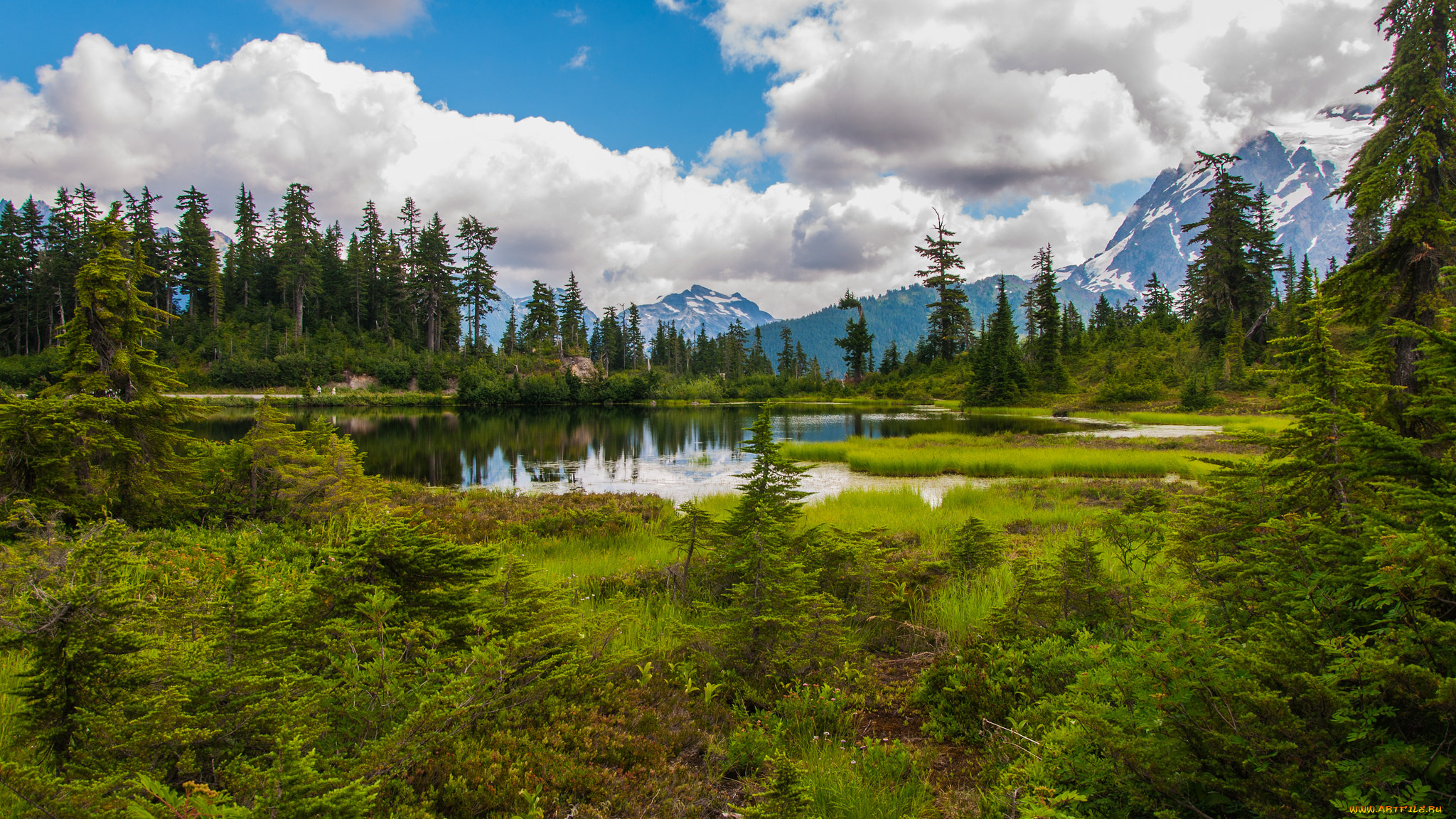 природа, реки, озера, простор