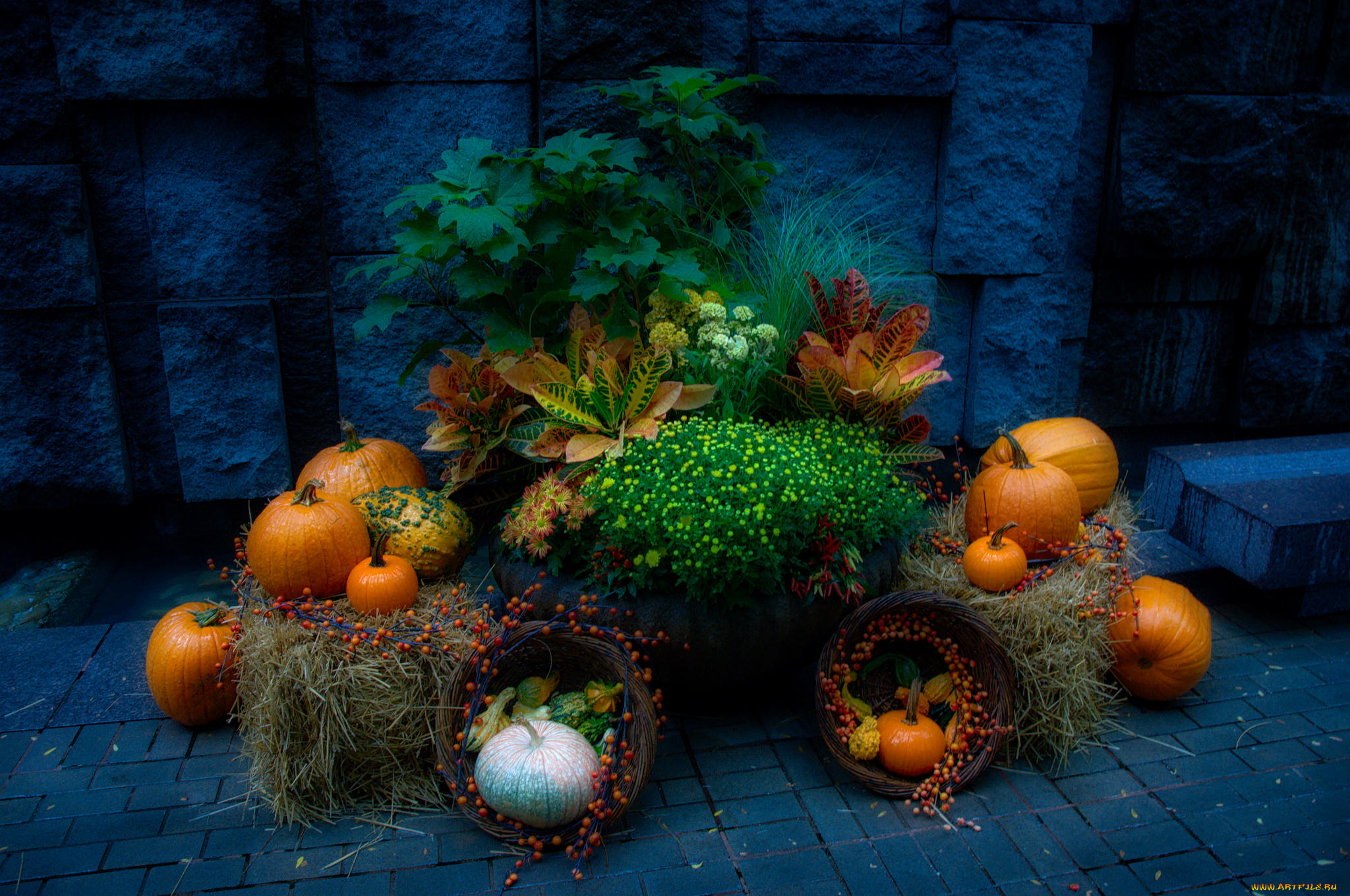 еда, натюрморт, снедь