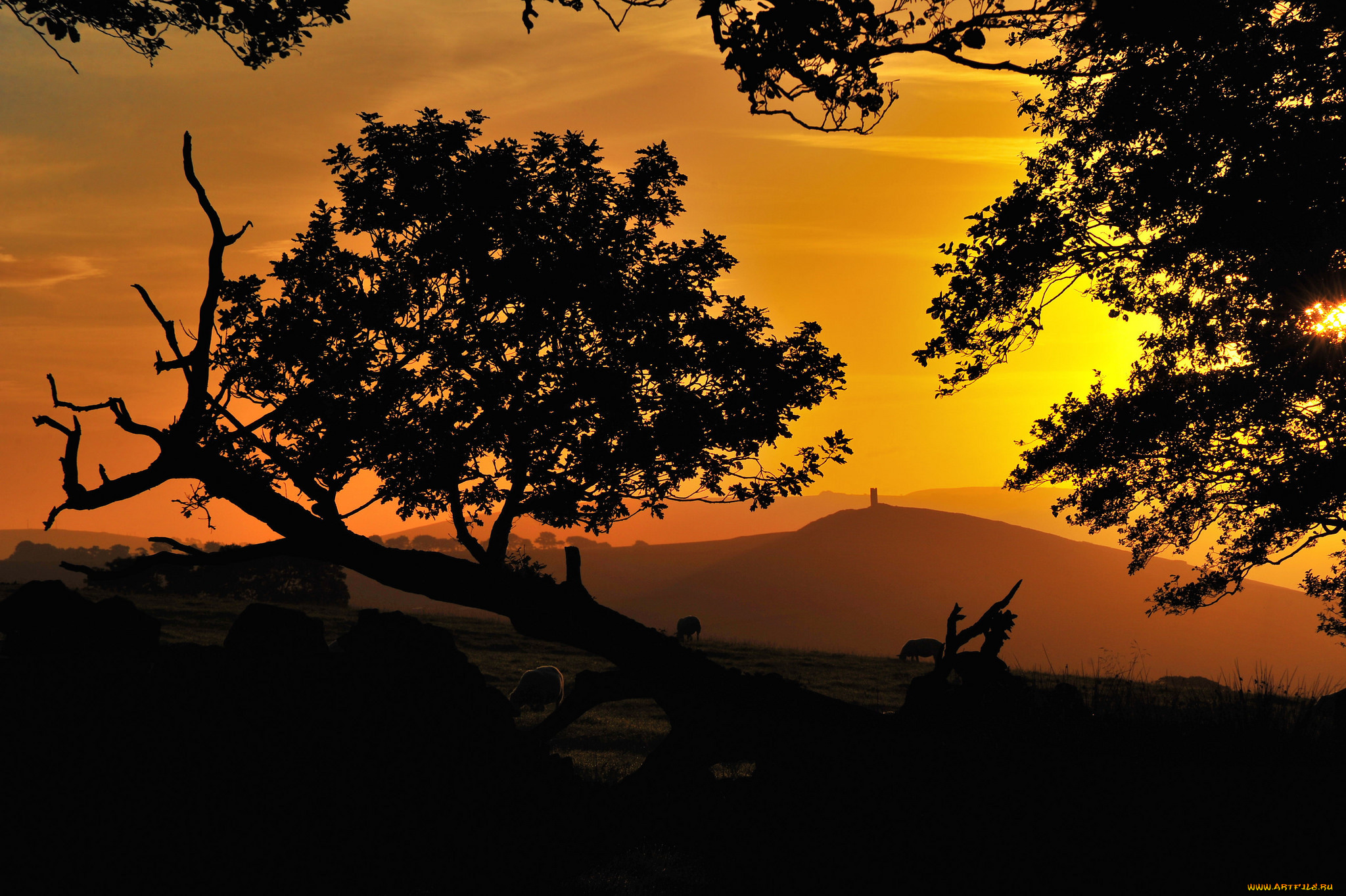 природа, пейзажи, простор