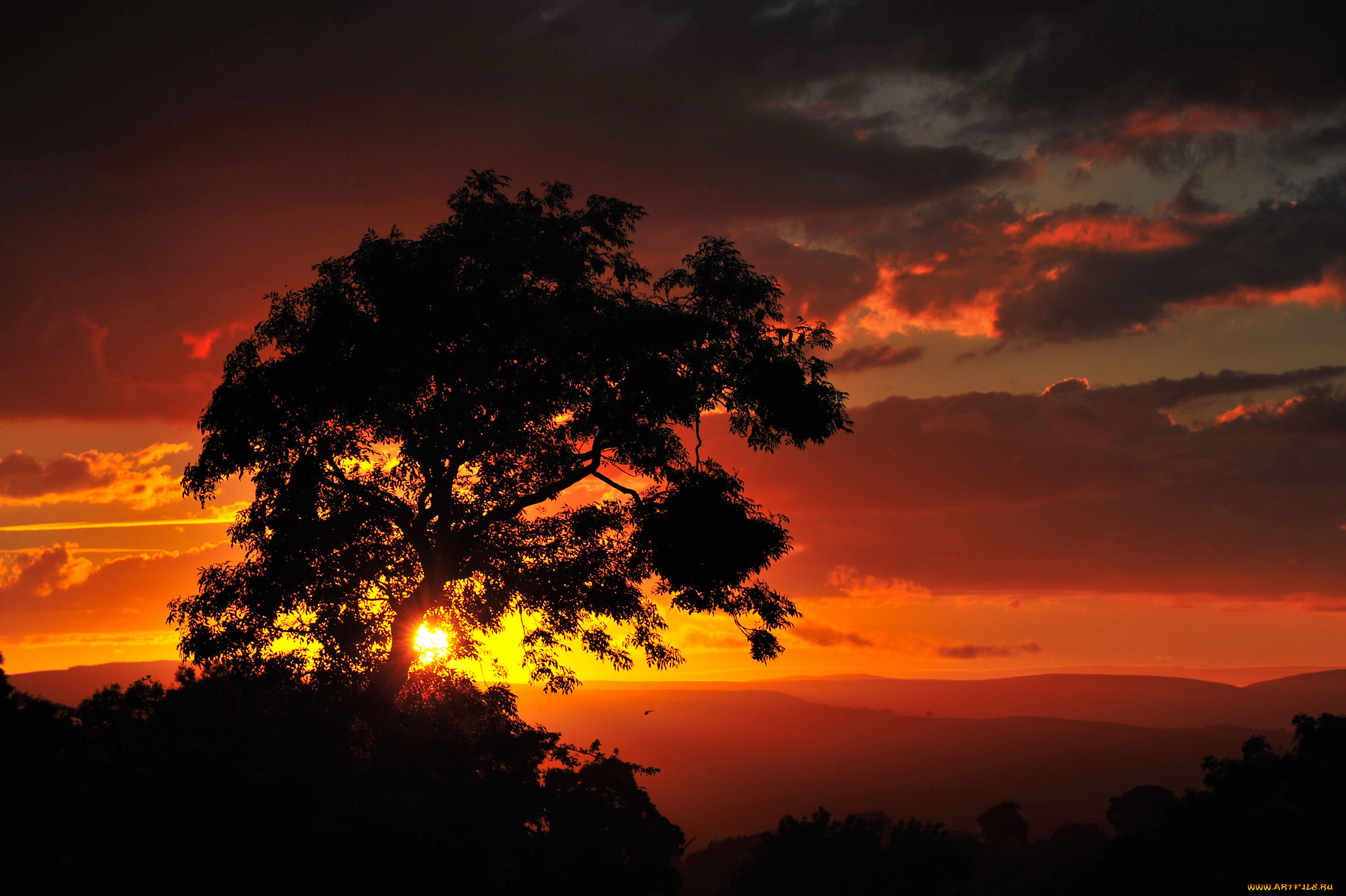 природа, восходы, закаты, простор