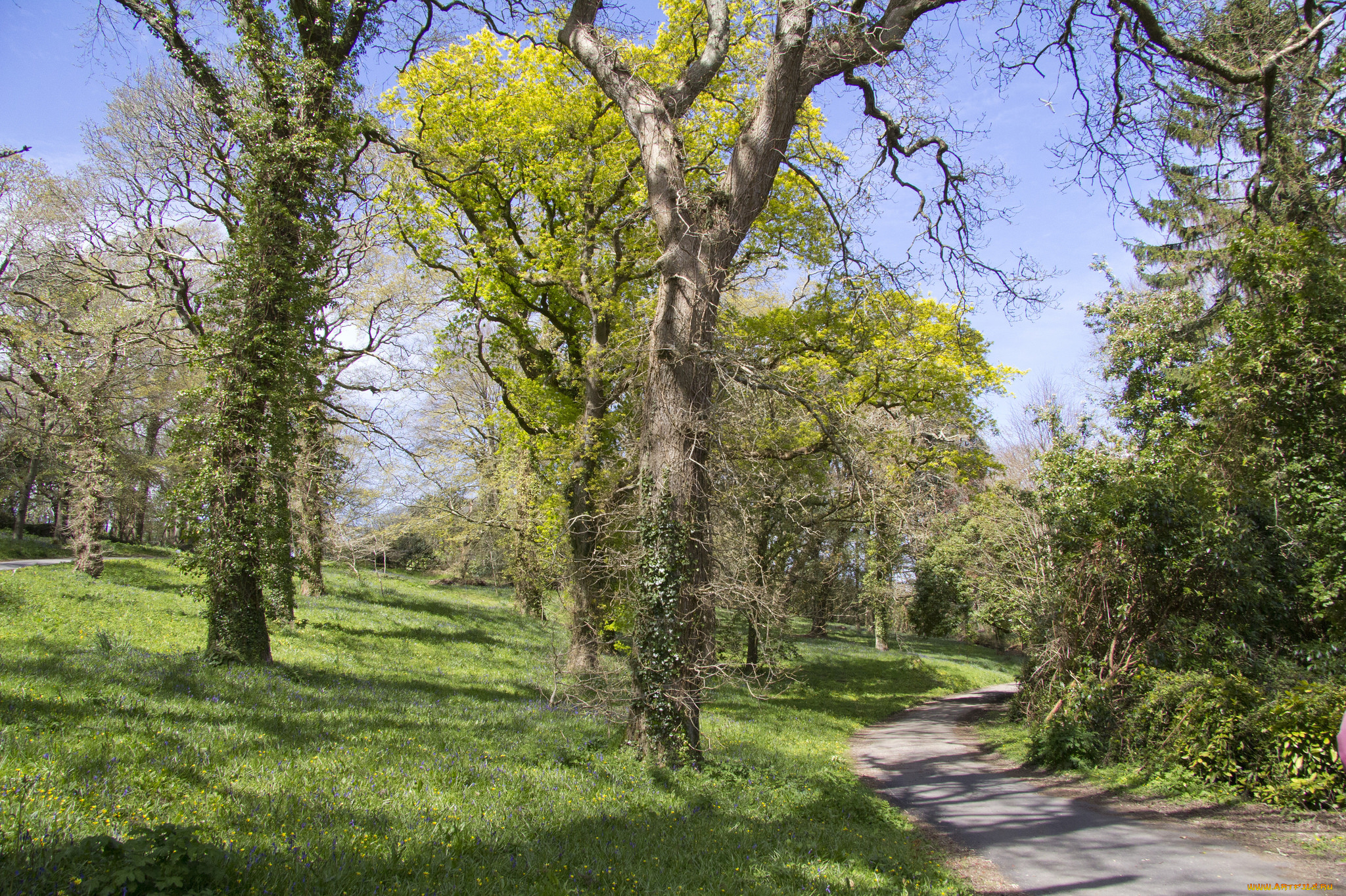 природа, дороги, простор