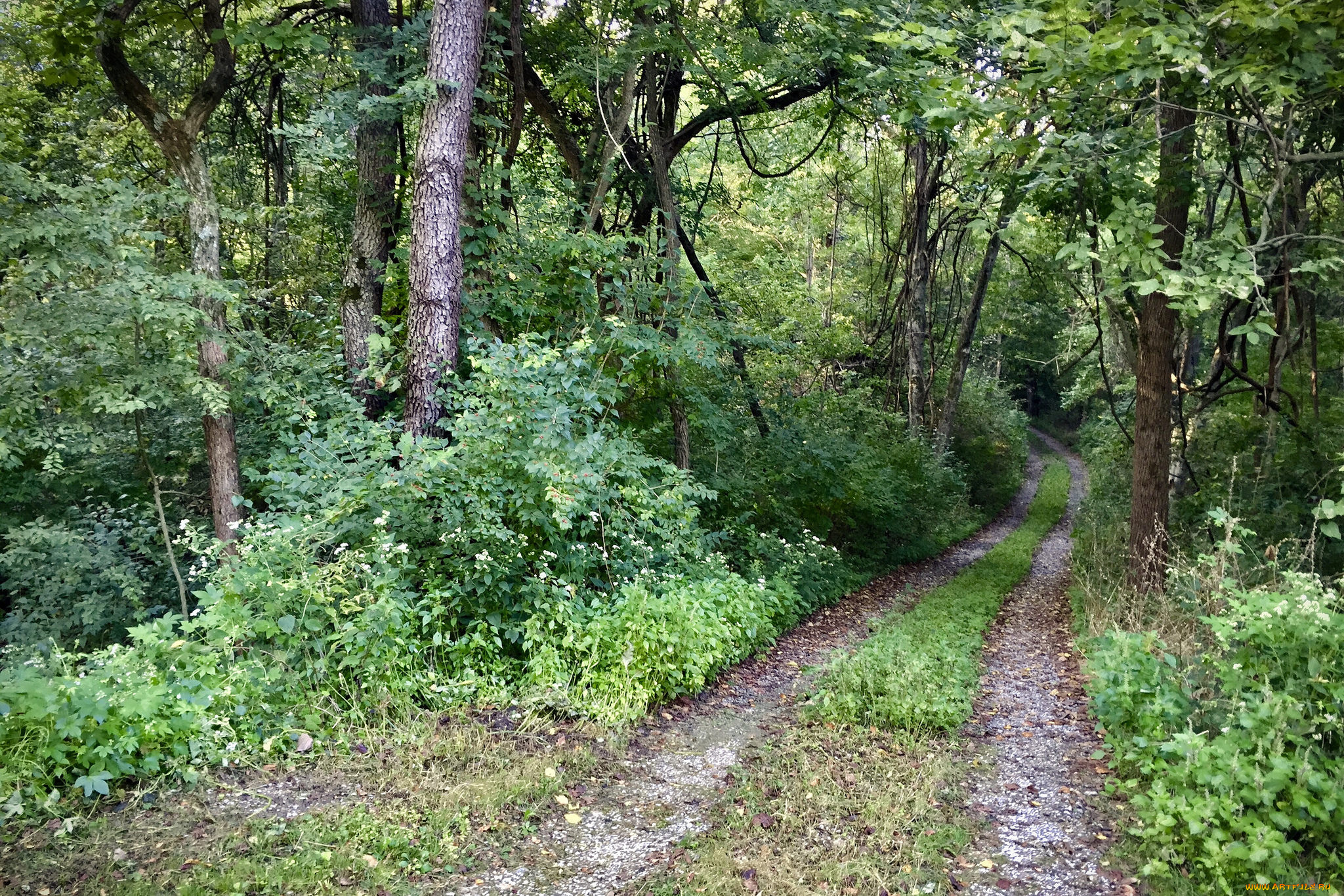 природа, дороги, простор