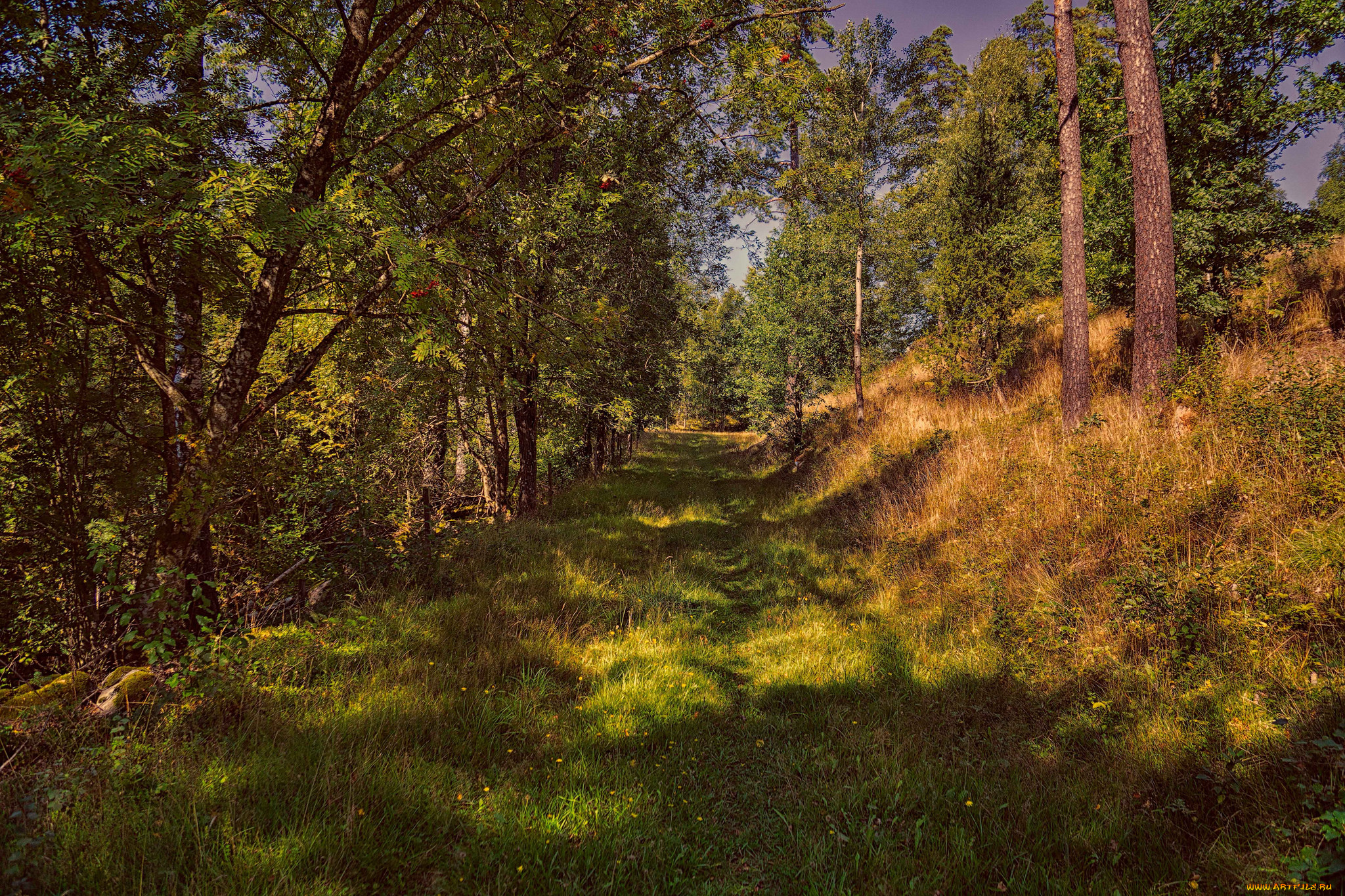 природа, дороги, простор