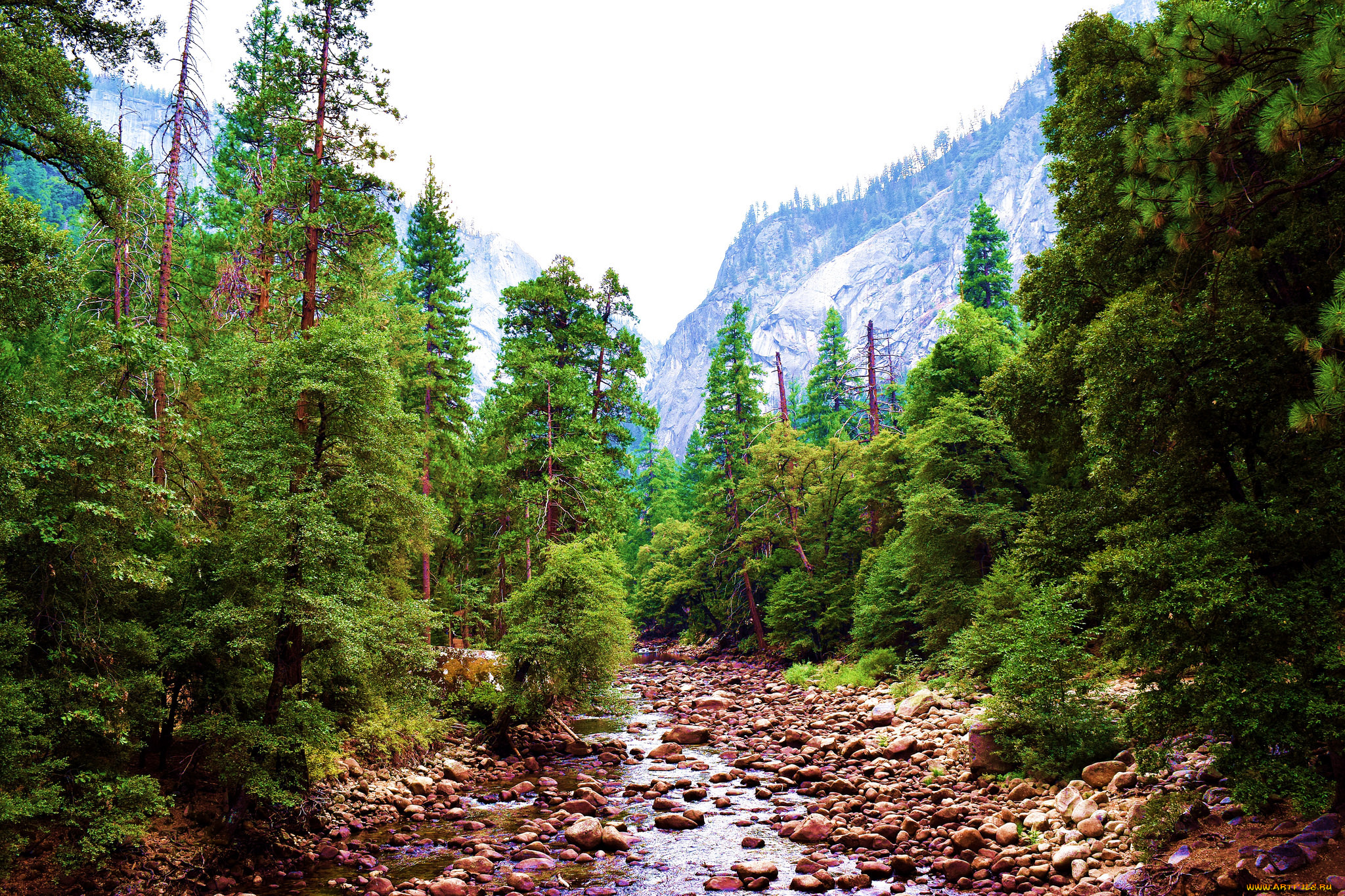 природа, горы, простор