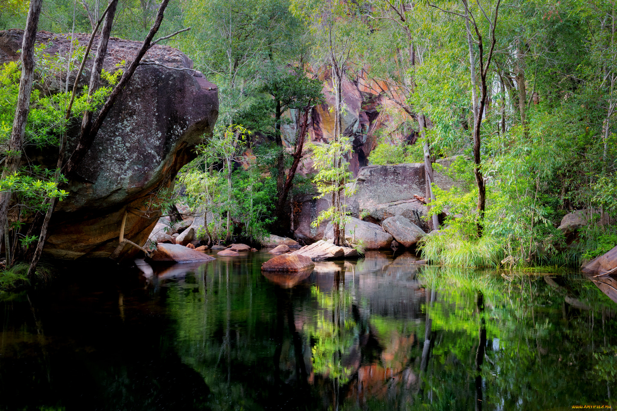 природа, реки, озера, простор