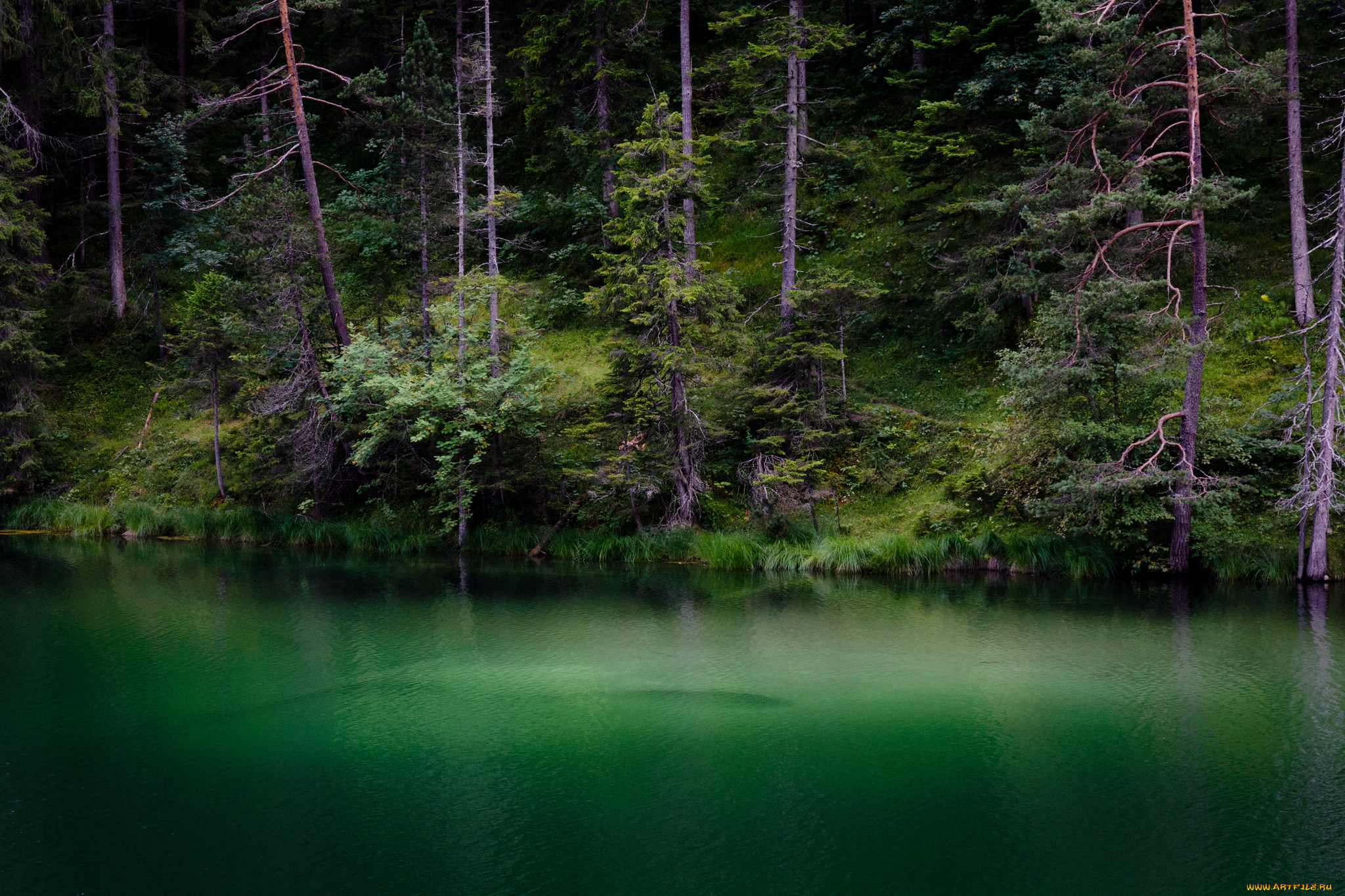 природа, реки, озера, простор