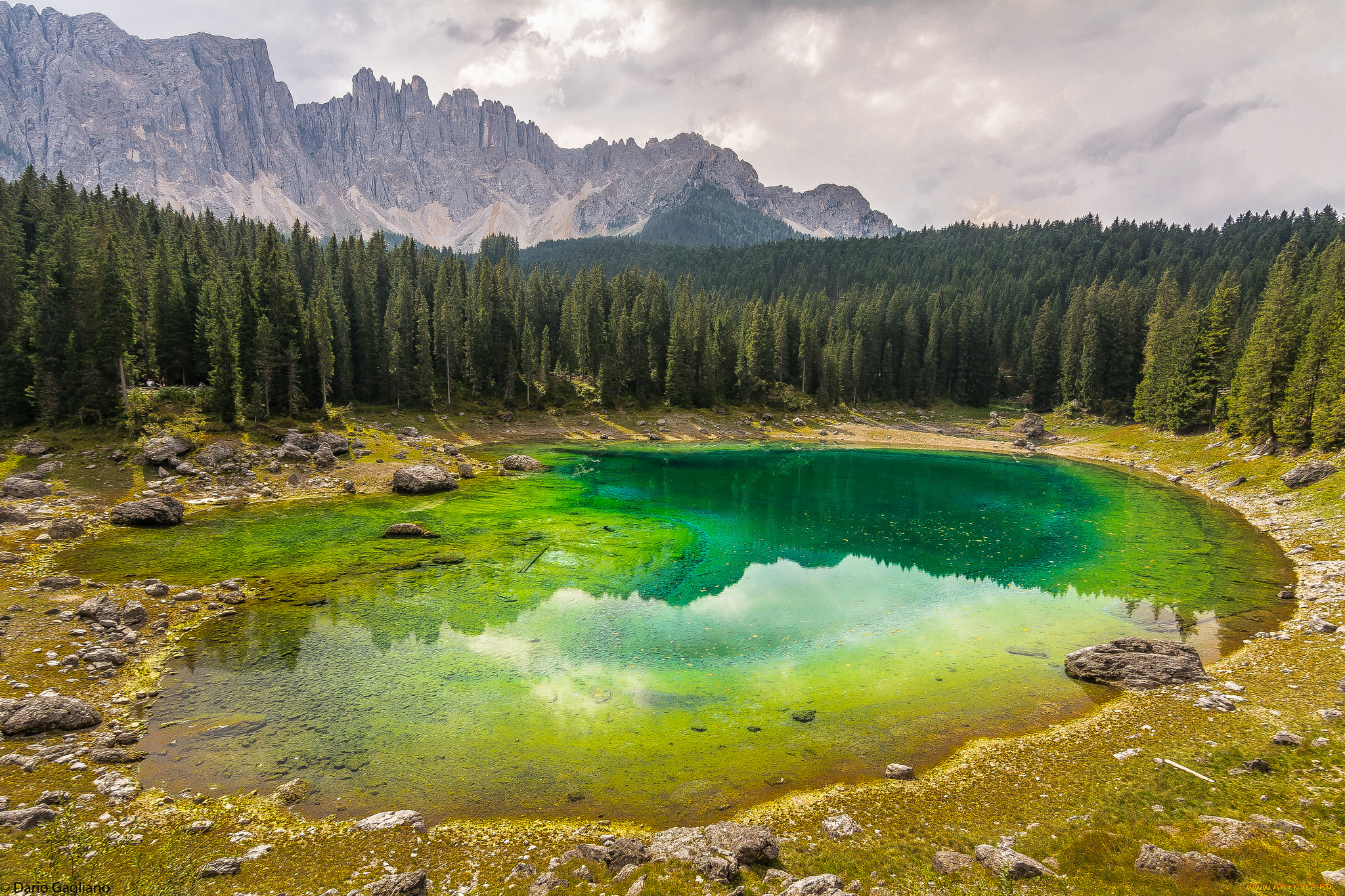 природа, реки, озера, простор