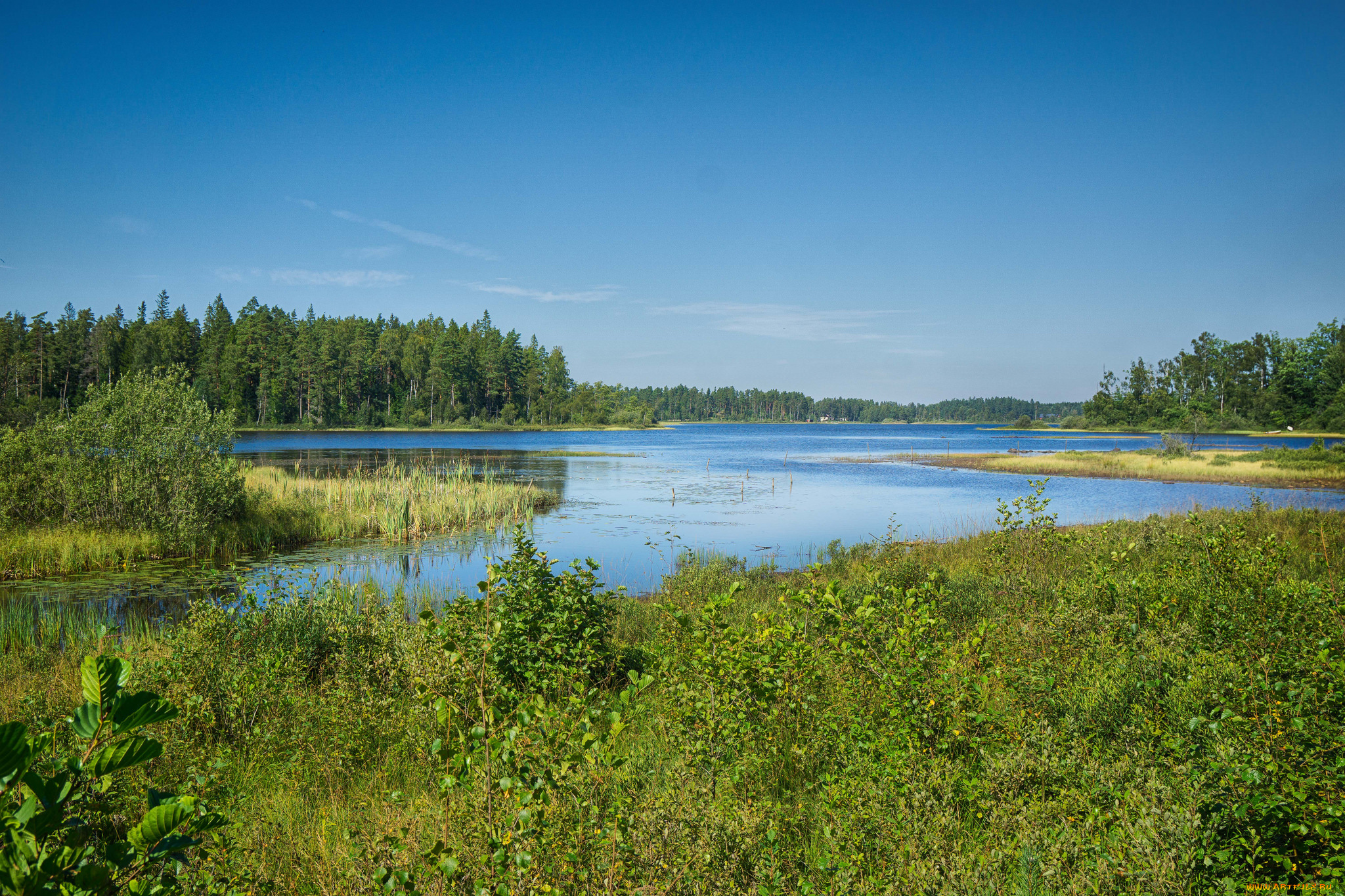 природа, реки, озера, простор