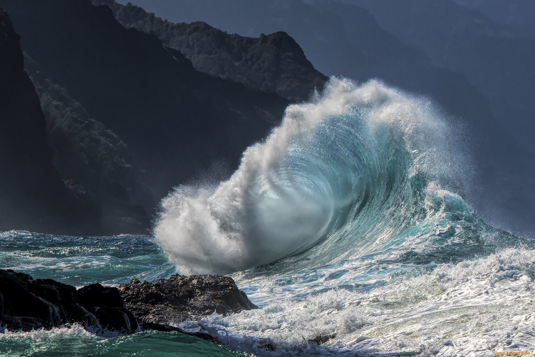 природа, стихия, простор