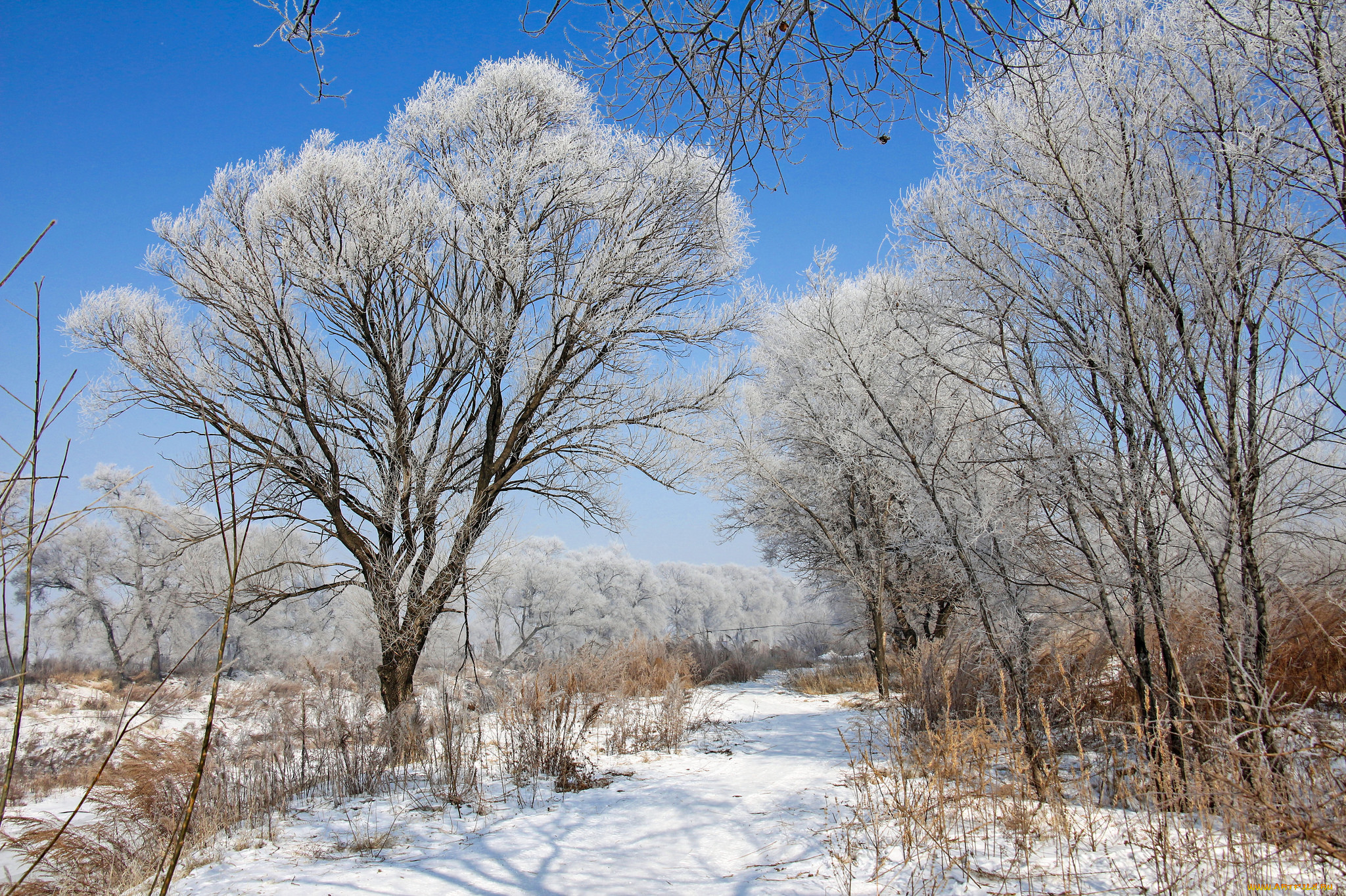 природа, зима, простор
