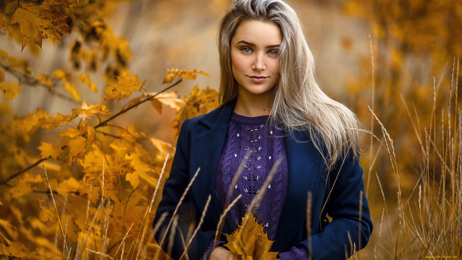 девушка, девушки, -unsort, , блондинки, , светловолосые, модель