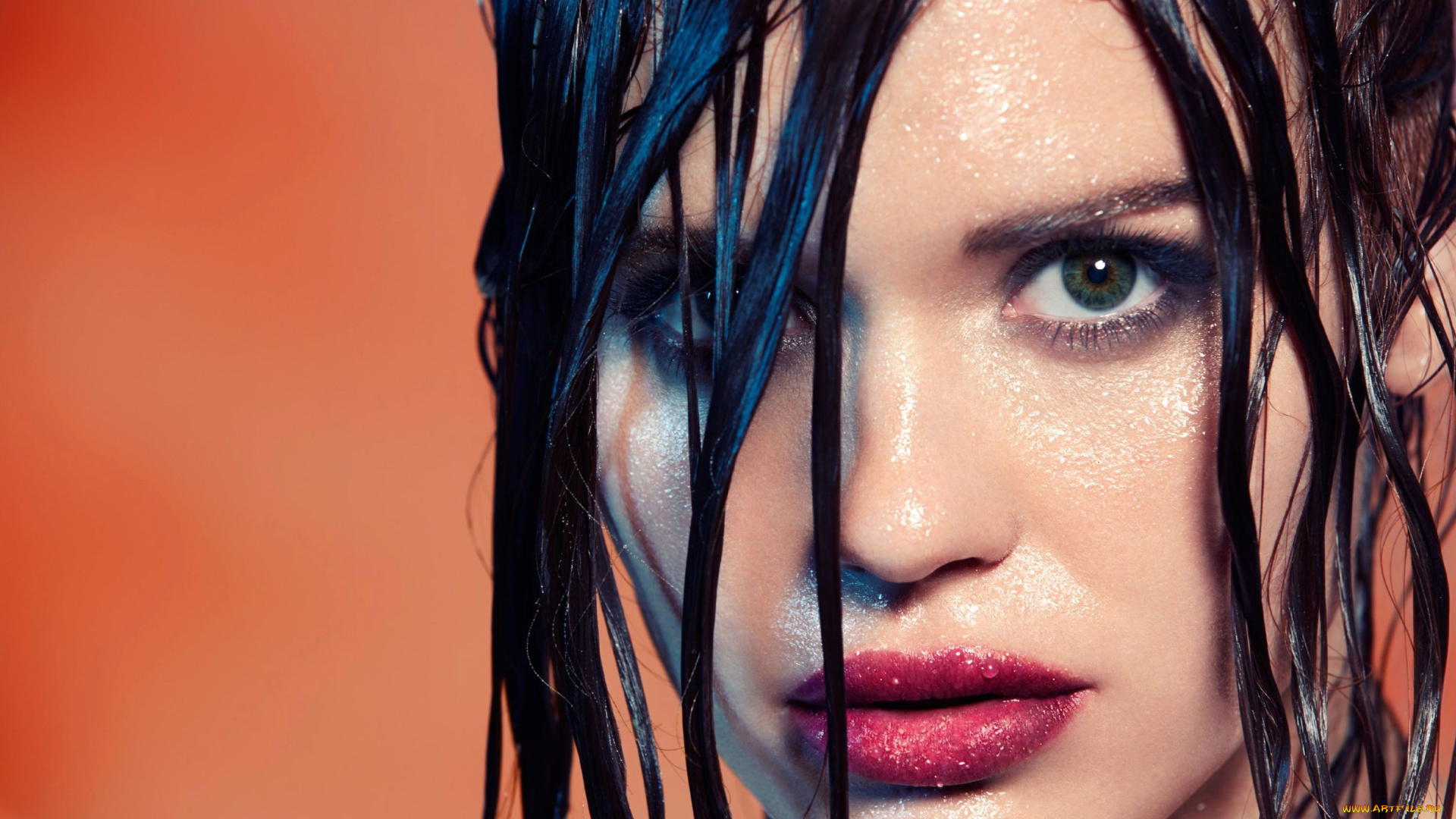 девушки, holland, roden, мокрая, лицо, брюнетка