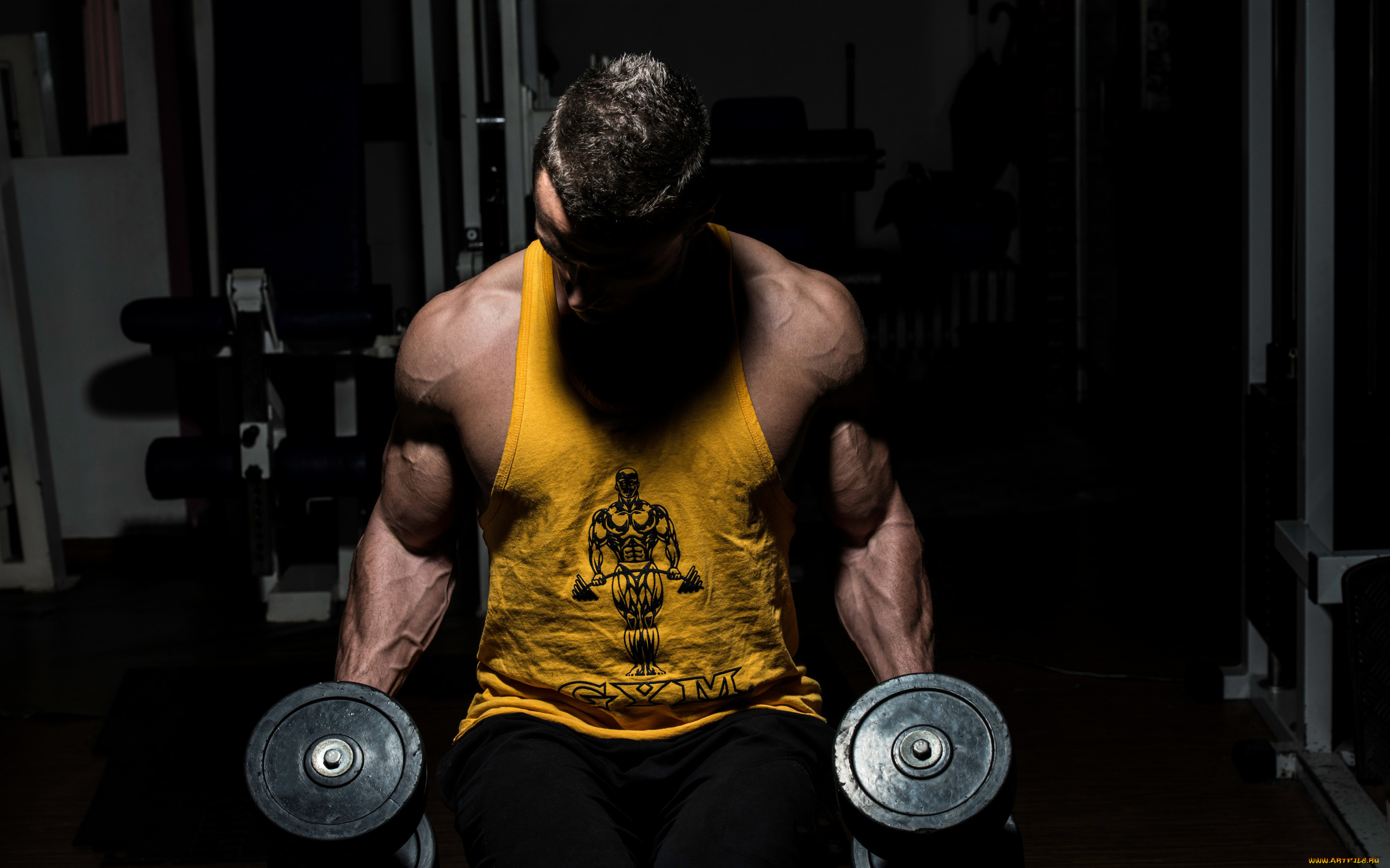 спорт, body, building, мышцы, бодибилдинг, культурист, тренажерный, зал